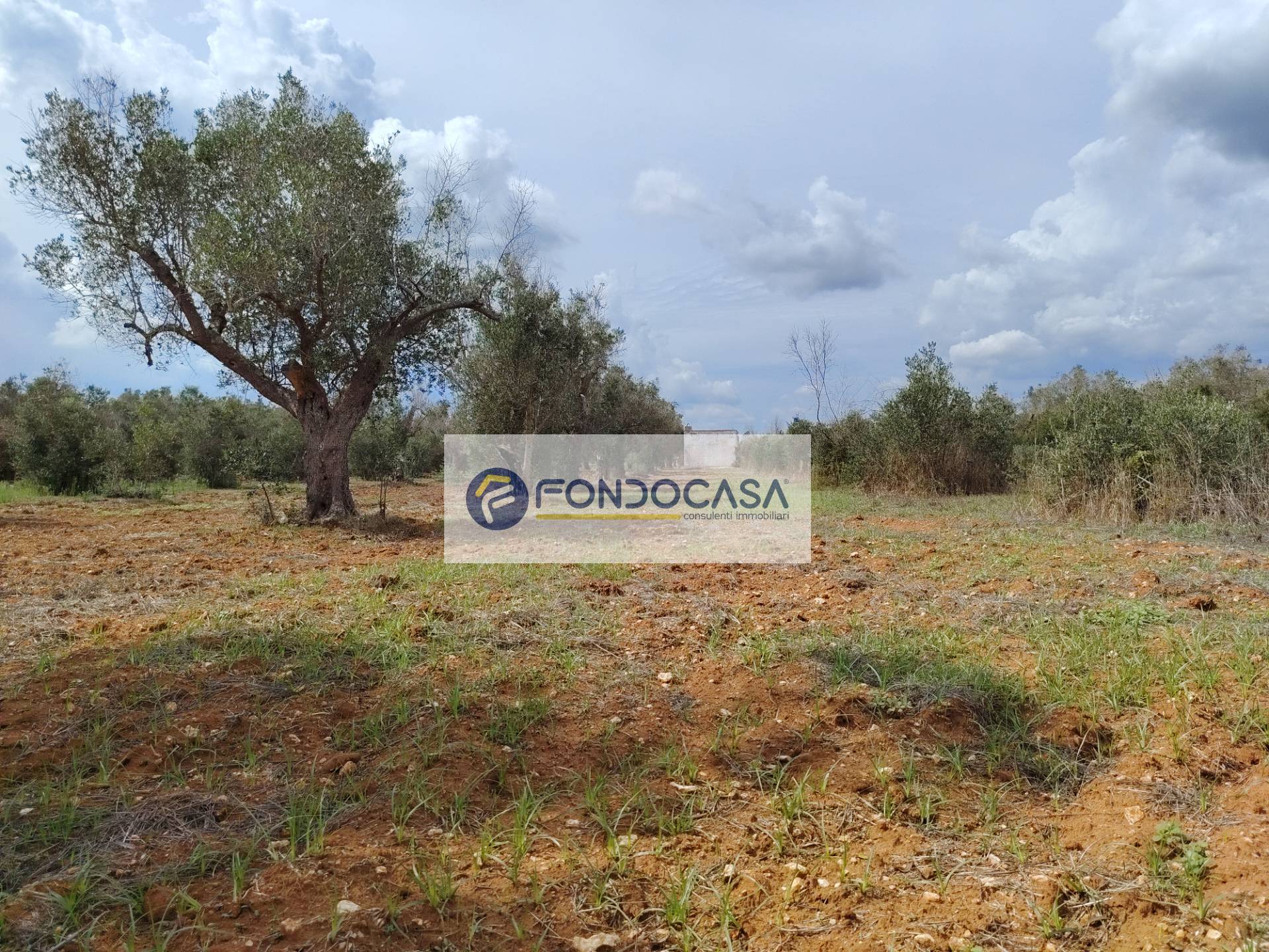 Rustico in vendita a Andrano, Castiglione