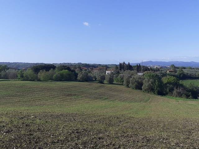 immagine annuncio 4 di 8