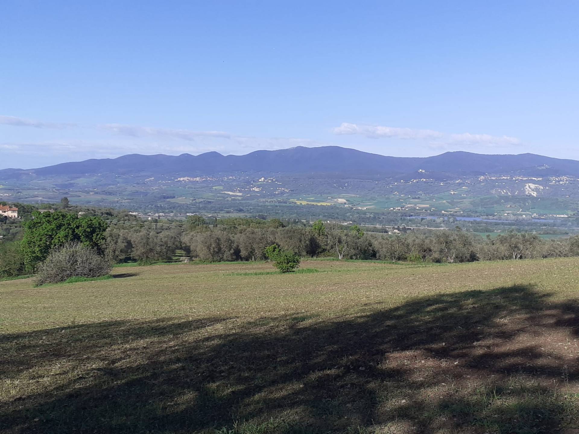 immagine annuncio 5 di 8