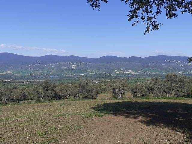immagine annuncio 6 di 8