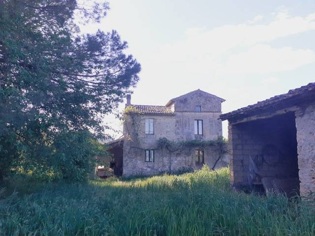 immagine annuncio 7 di 8