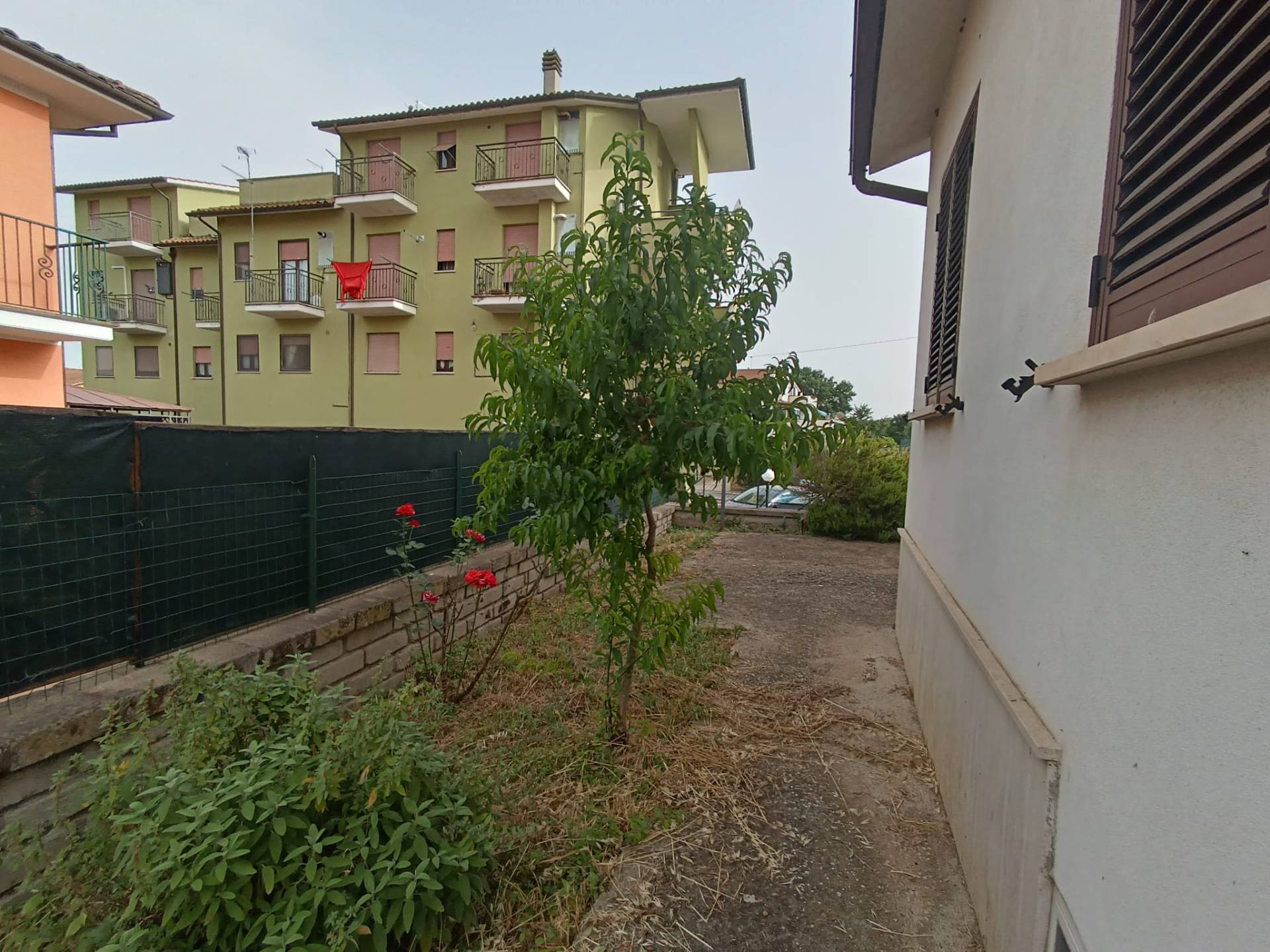 Casa singola in vendita a Graffignano