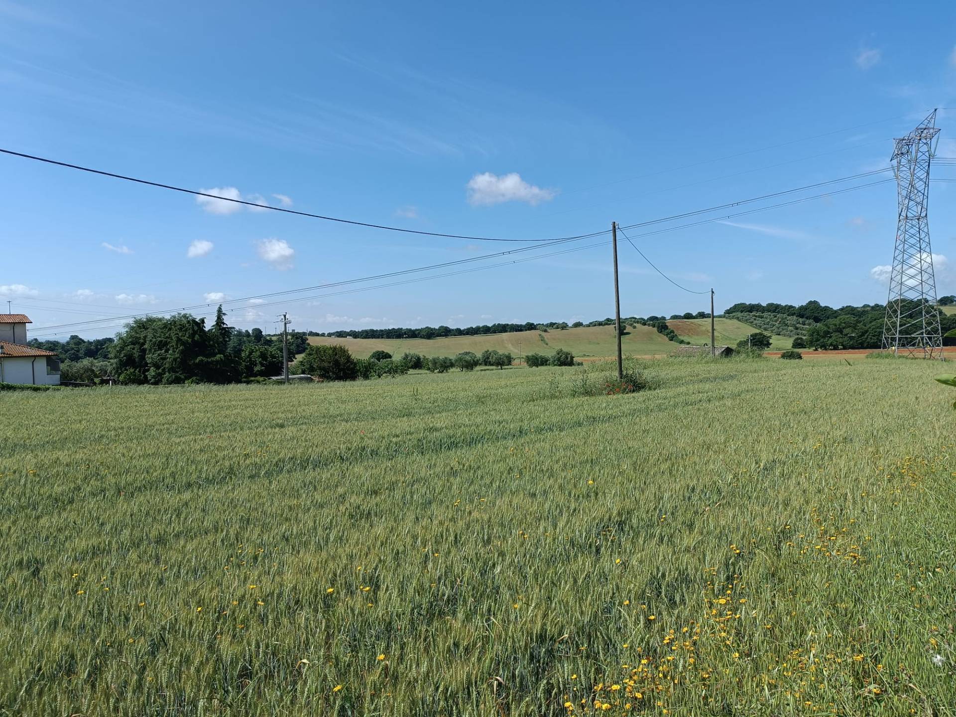 Rustico in vendita a Celleno