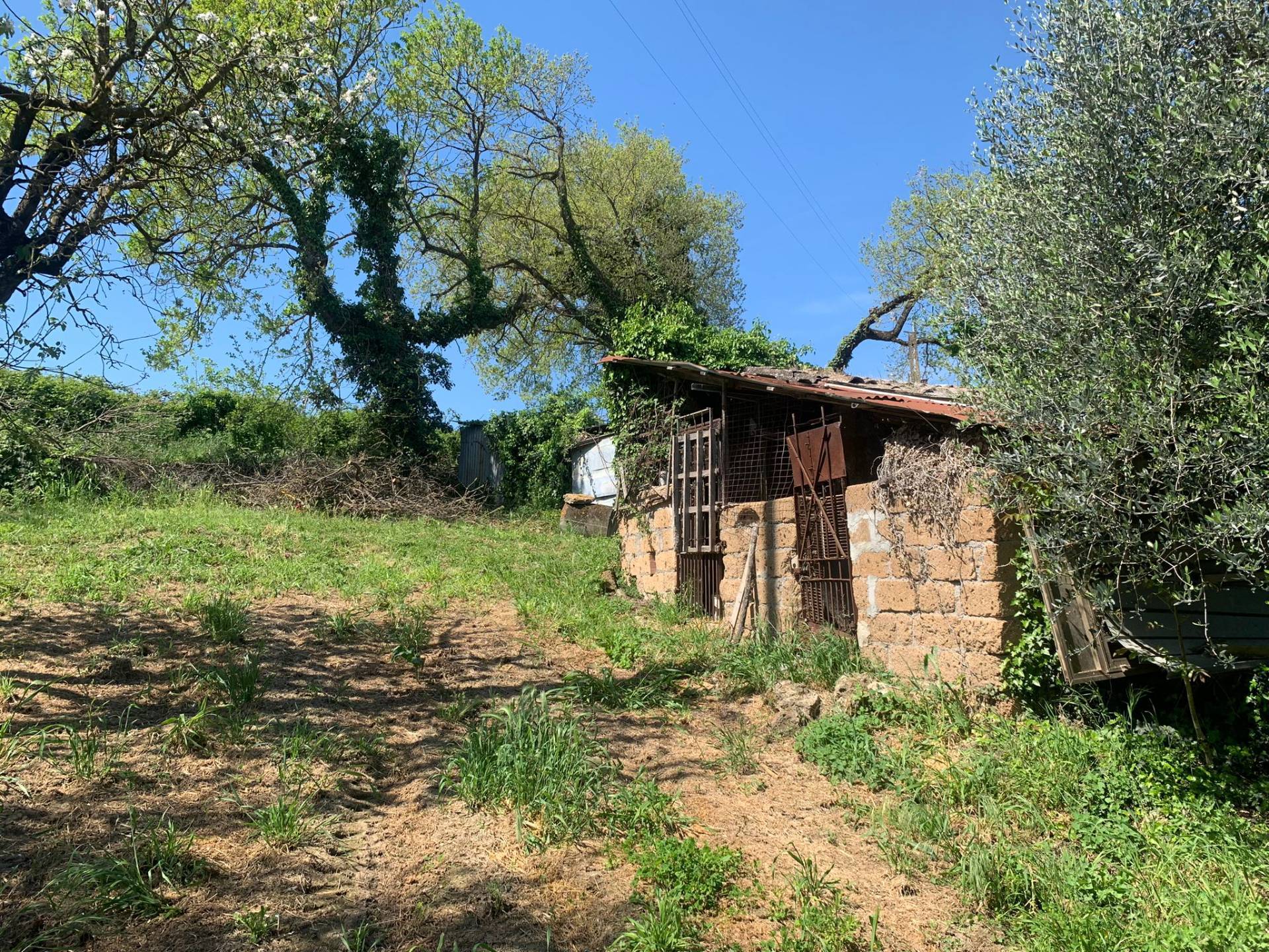 immagine annuncio 2 di 10