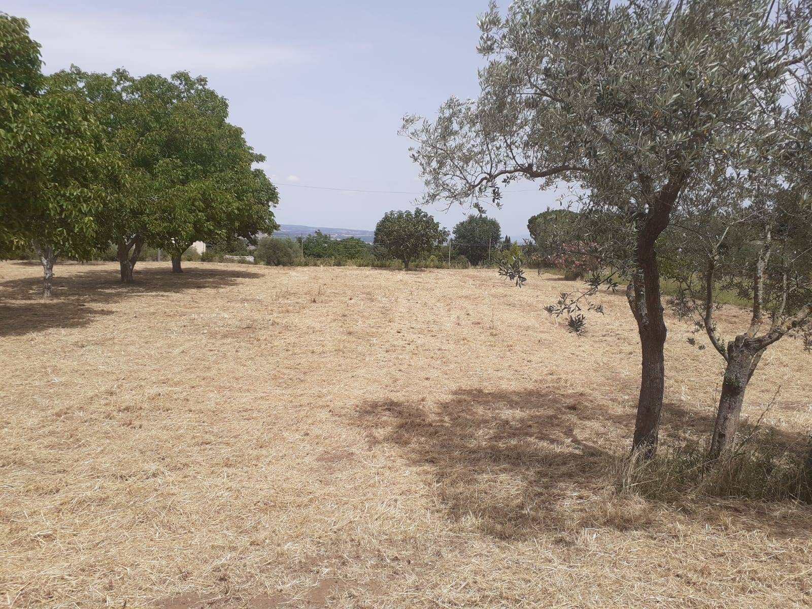Terreno Agricolo in vendita a Viterbo, Bagnaia