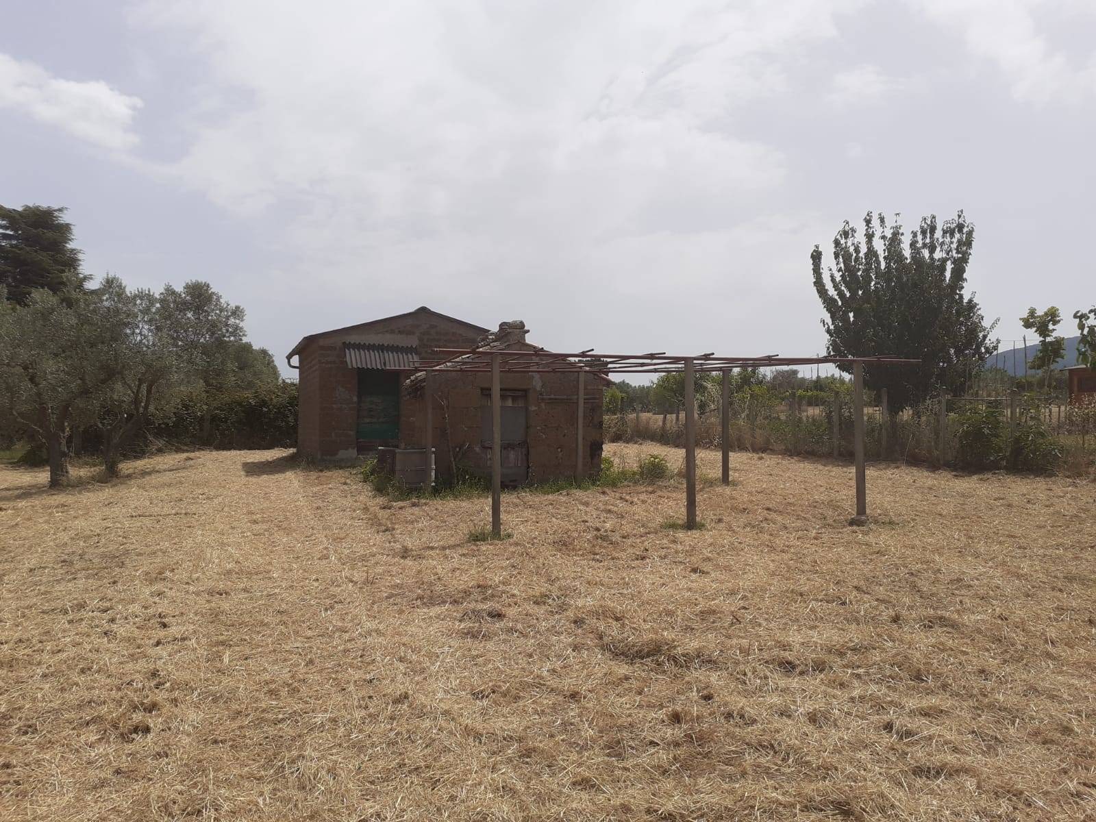 Terreno Agricolo in vendita a Viterbo, Bagnaia