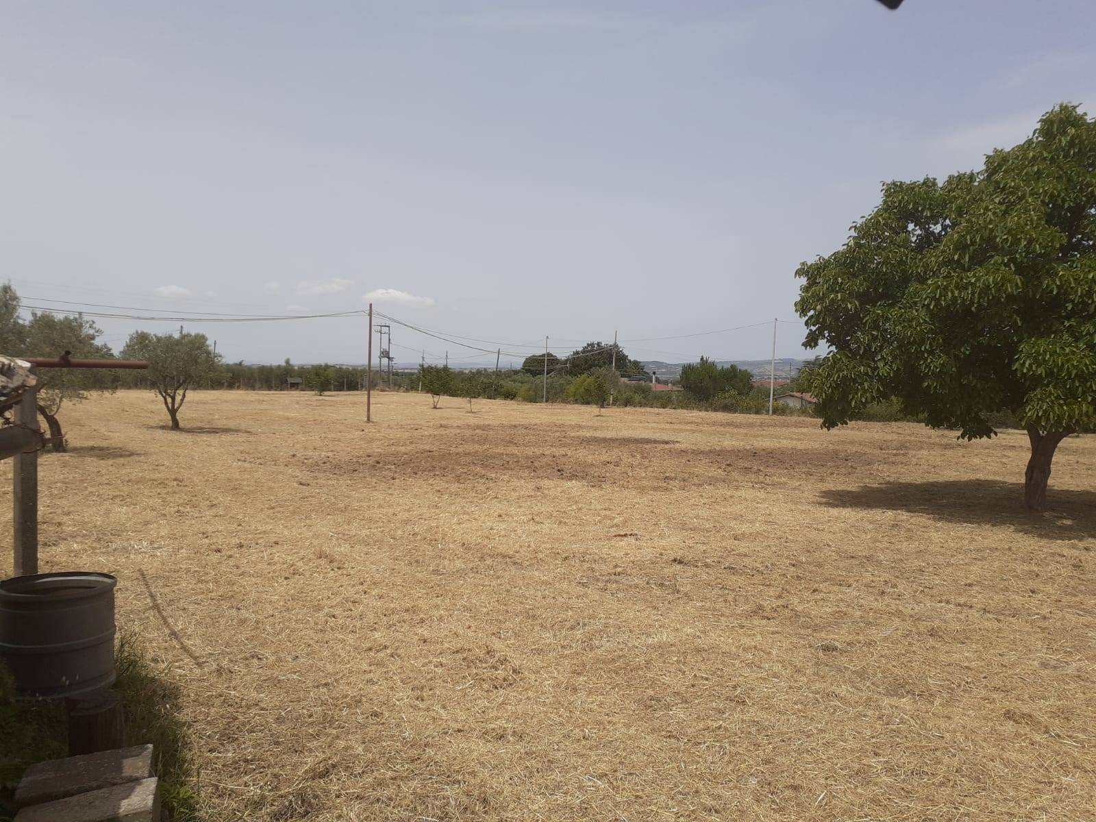 Terreno Agricolo in vendita a Viterbo, Bagnaia