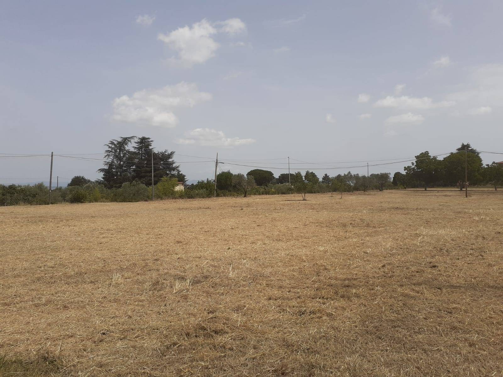 Terreno Agricolo in vendita a Viterbo, Bagnaia