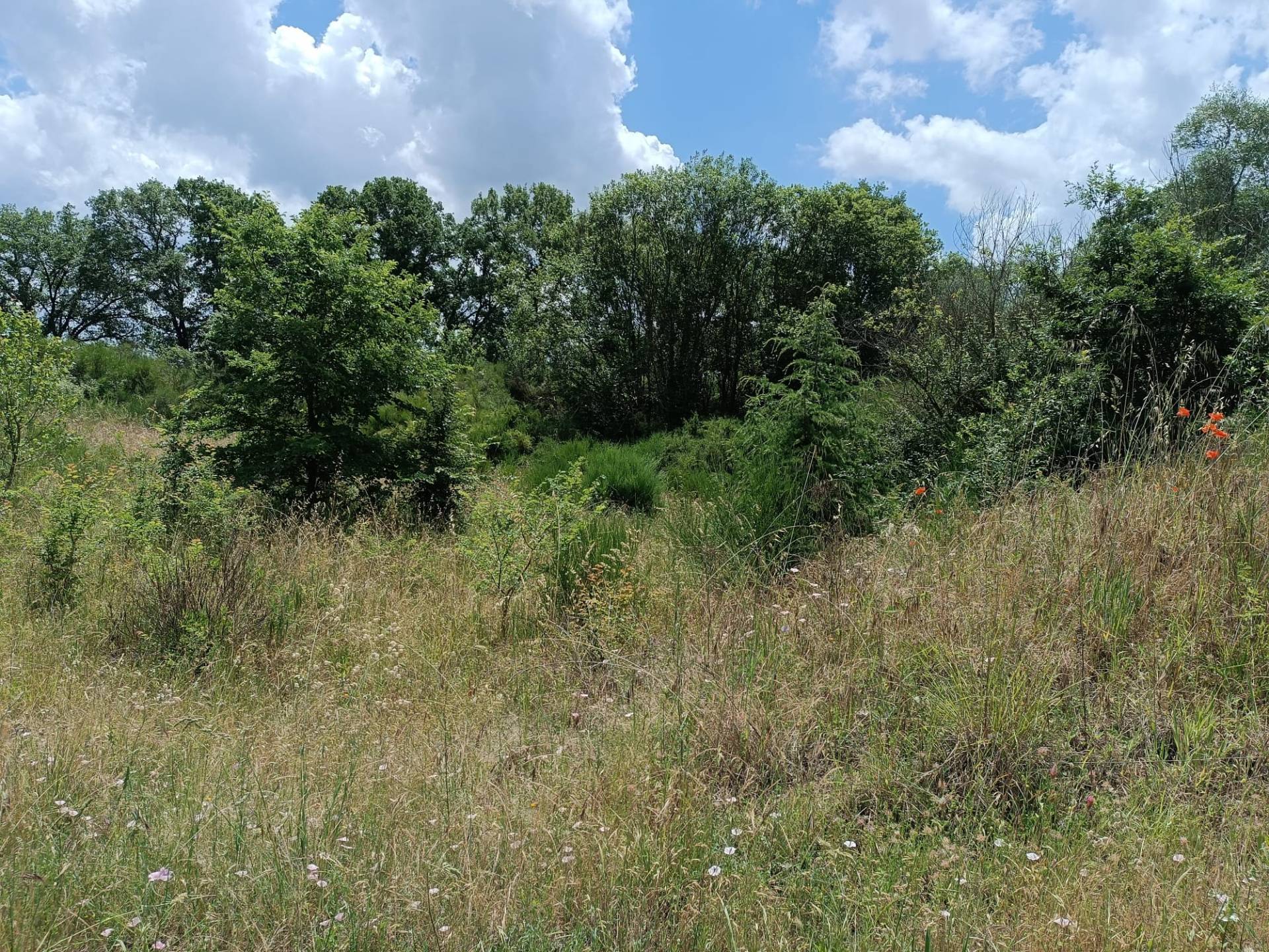 Appartamento in vendita a Celleno