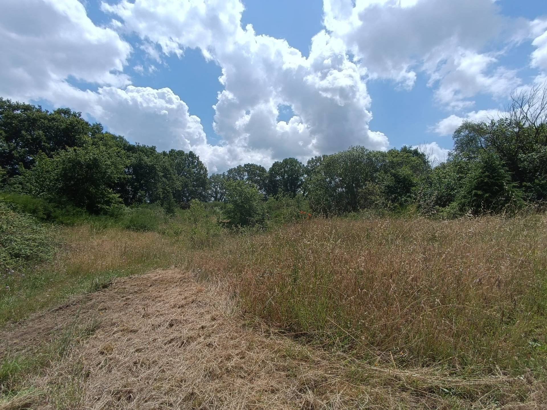 Appartamento in vendita a Celleno