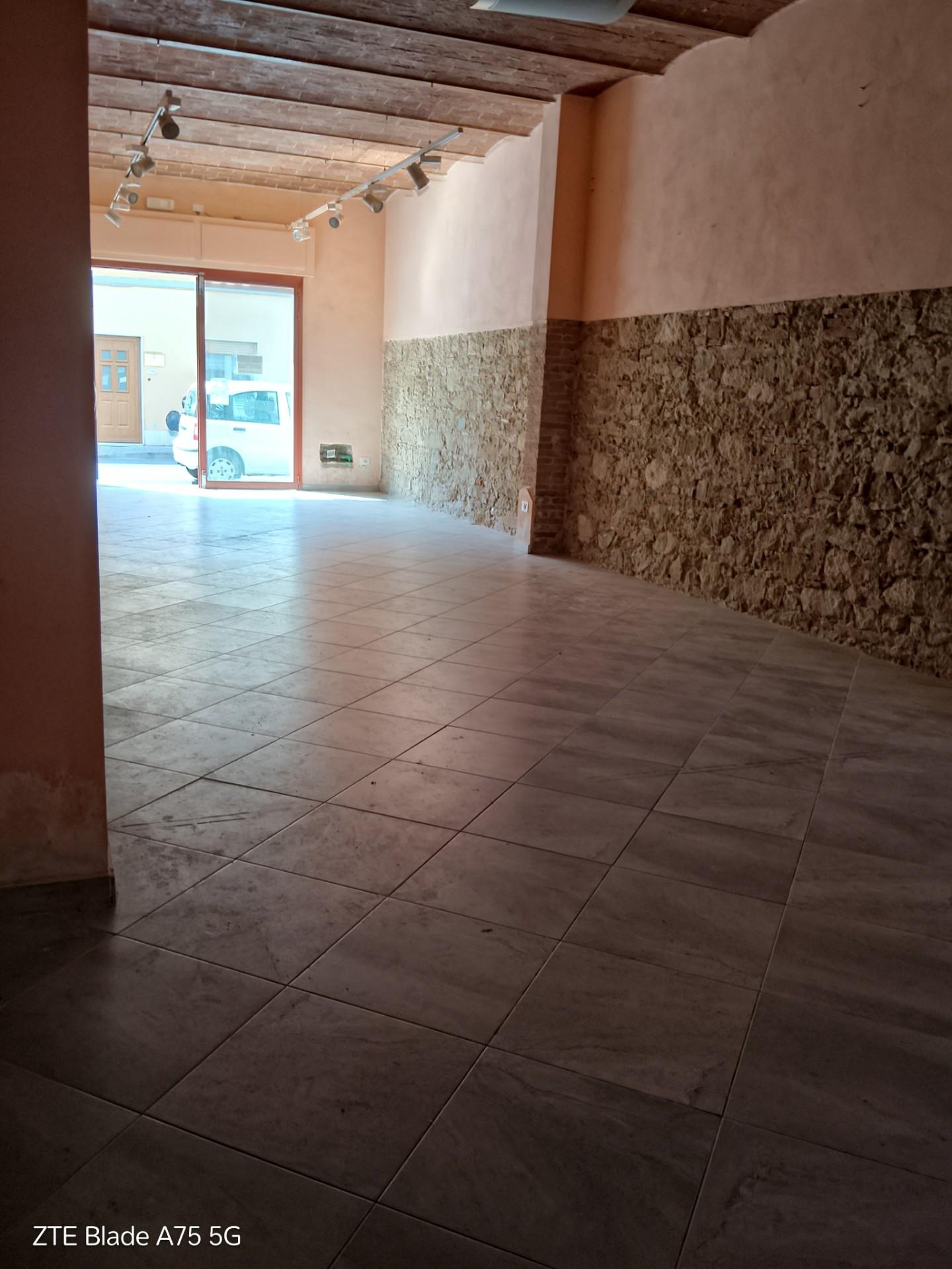 Locale commerciale in affitto a Collesalvetti