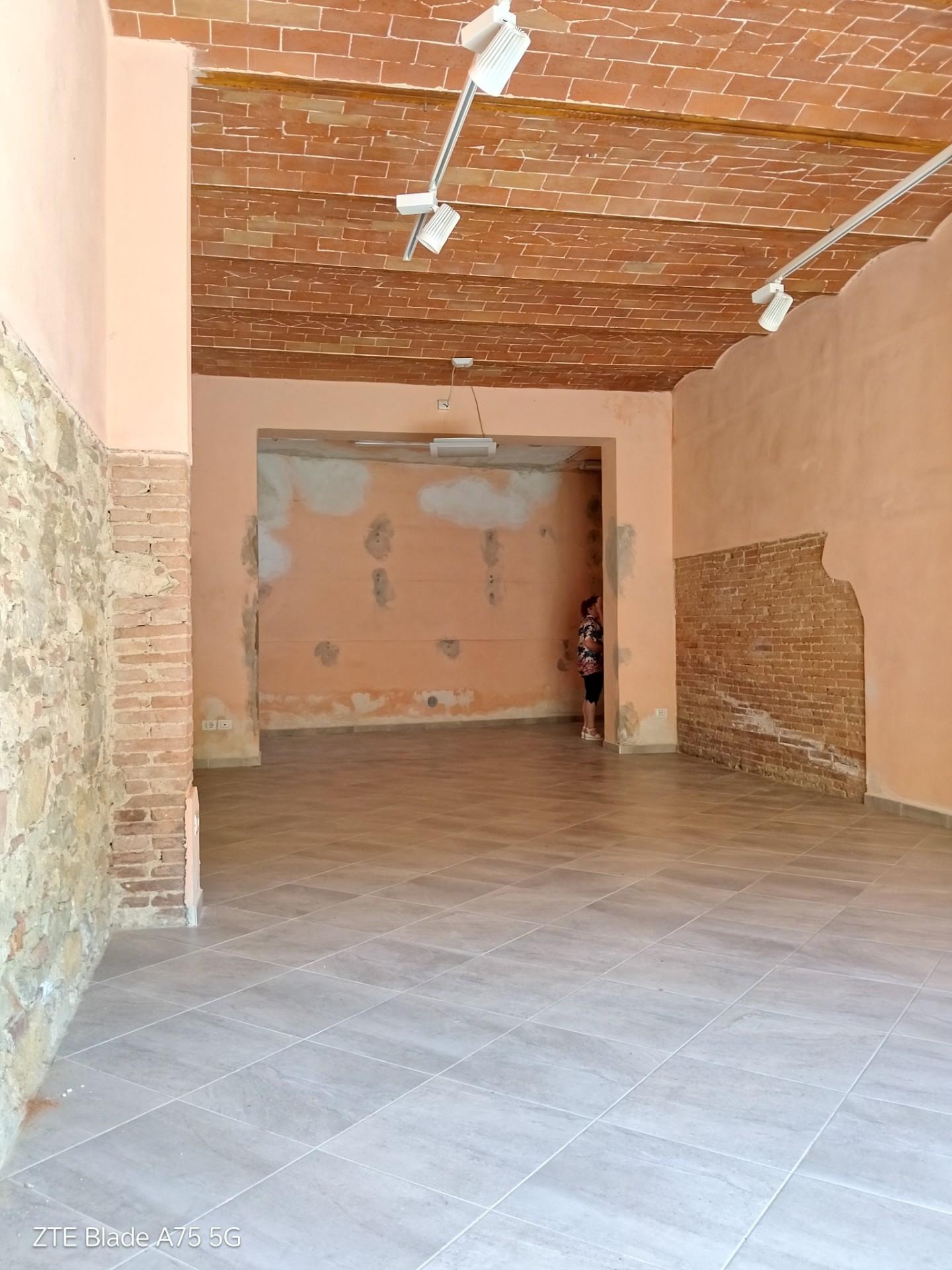 Locale commerciale in affitto a Collesalvetti
