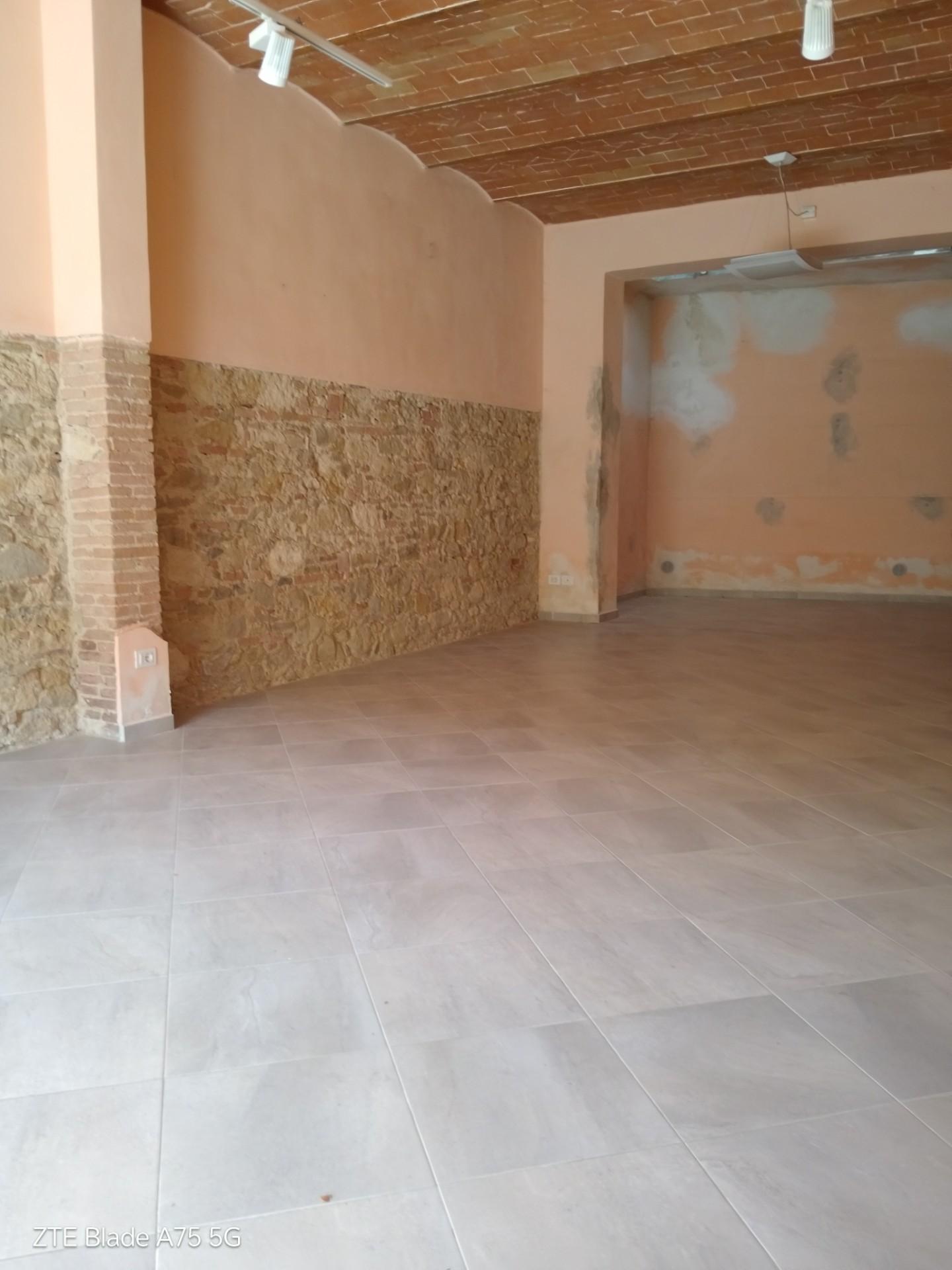 Locale commerciale in affitto a Collesalvetti