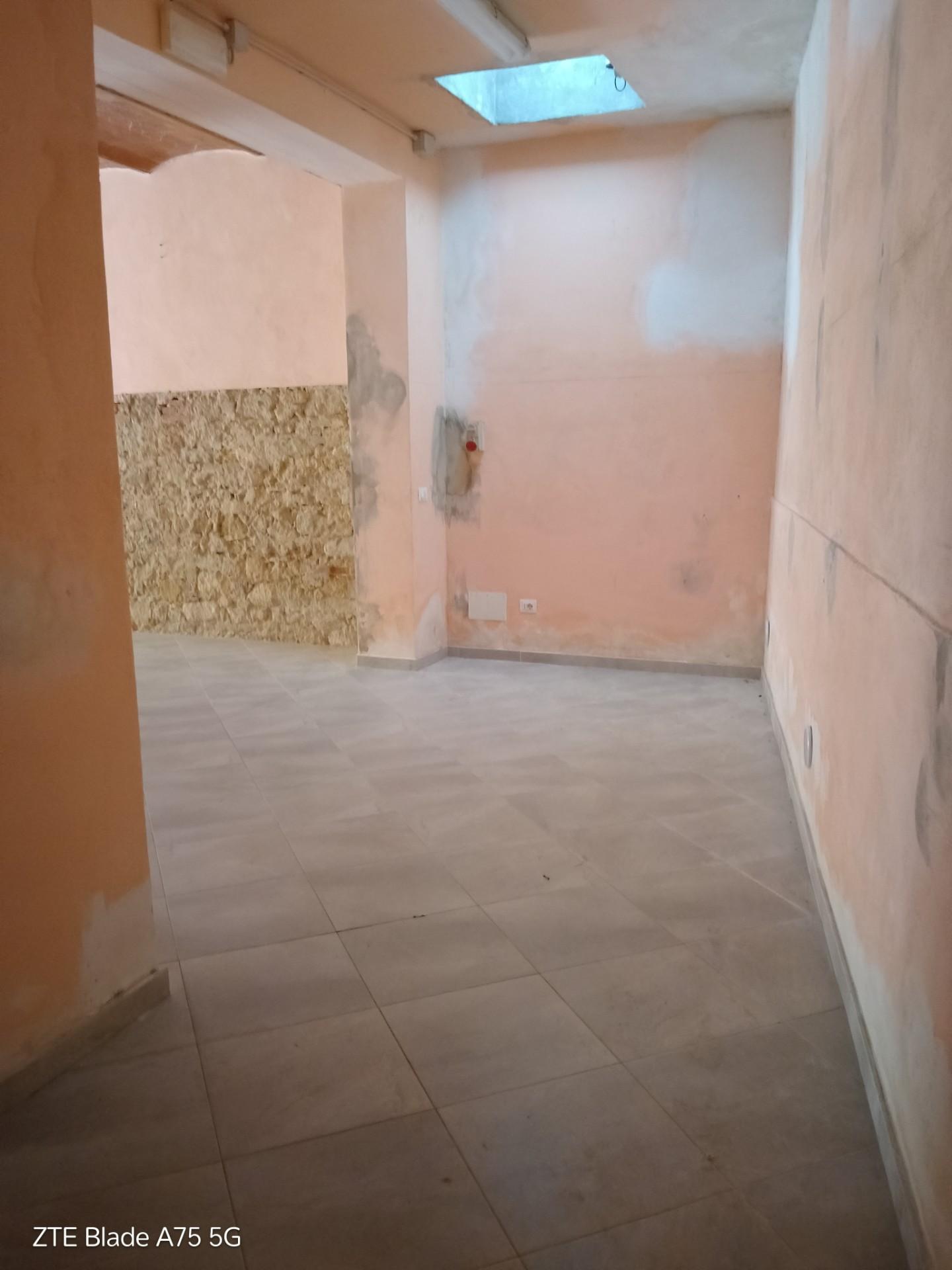 Locale commerciale in affitto a Collesalvetti