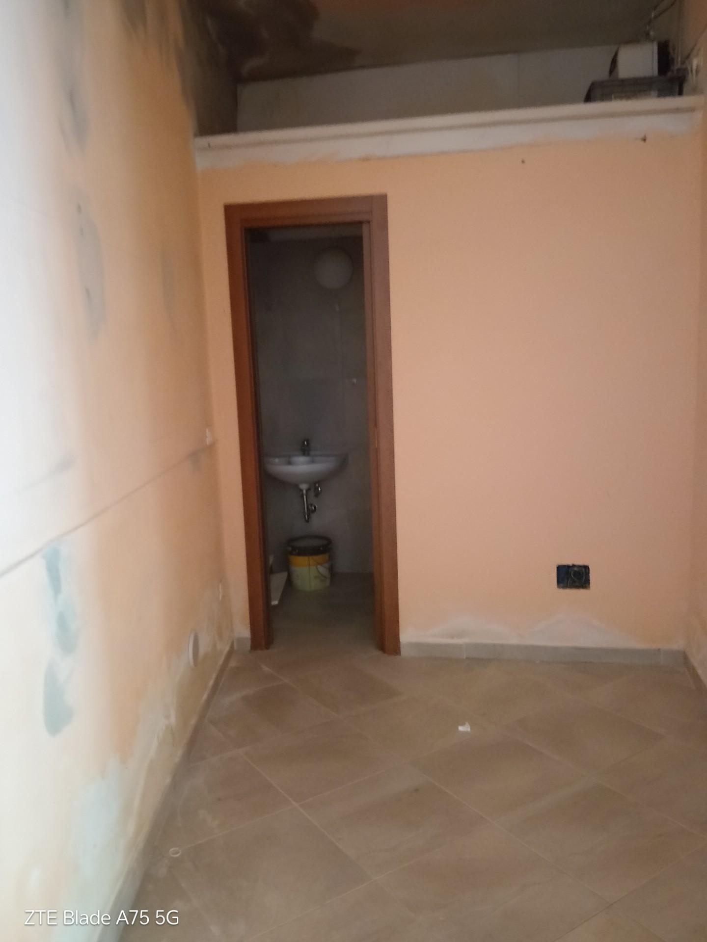 Locale commerciale in affitto a Collesalvetti