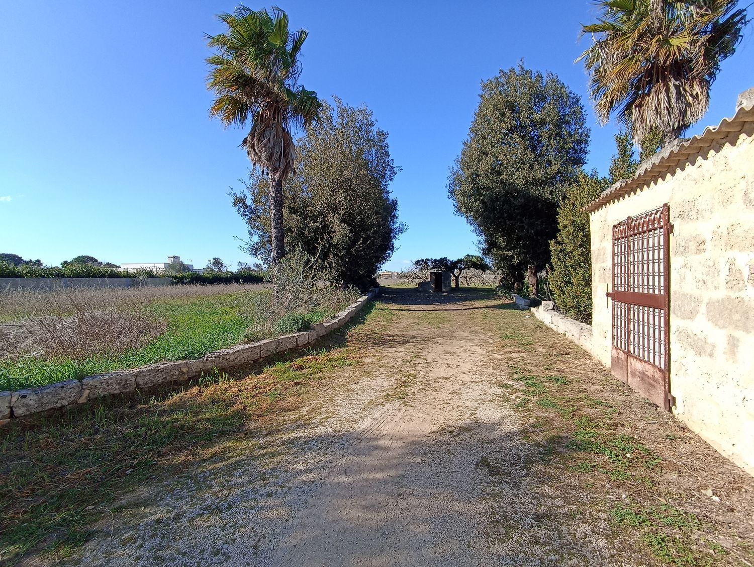 Terreno Agricolo in vendita a Gallipoli