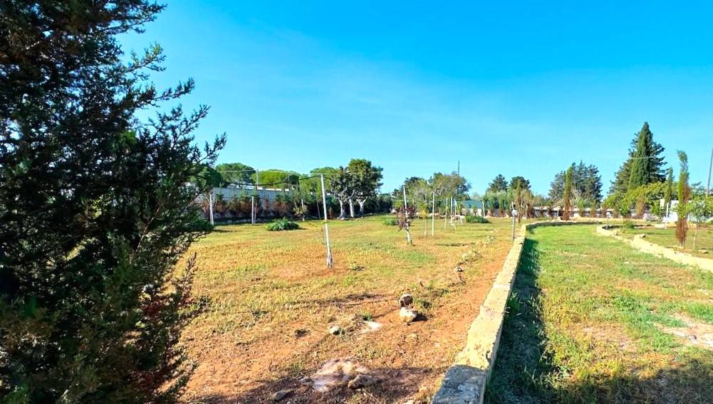 Terreno Agricolo in vendita a Gallipoli, Fuori Zona