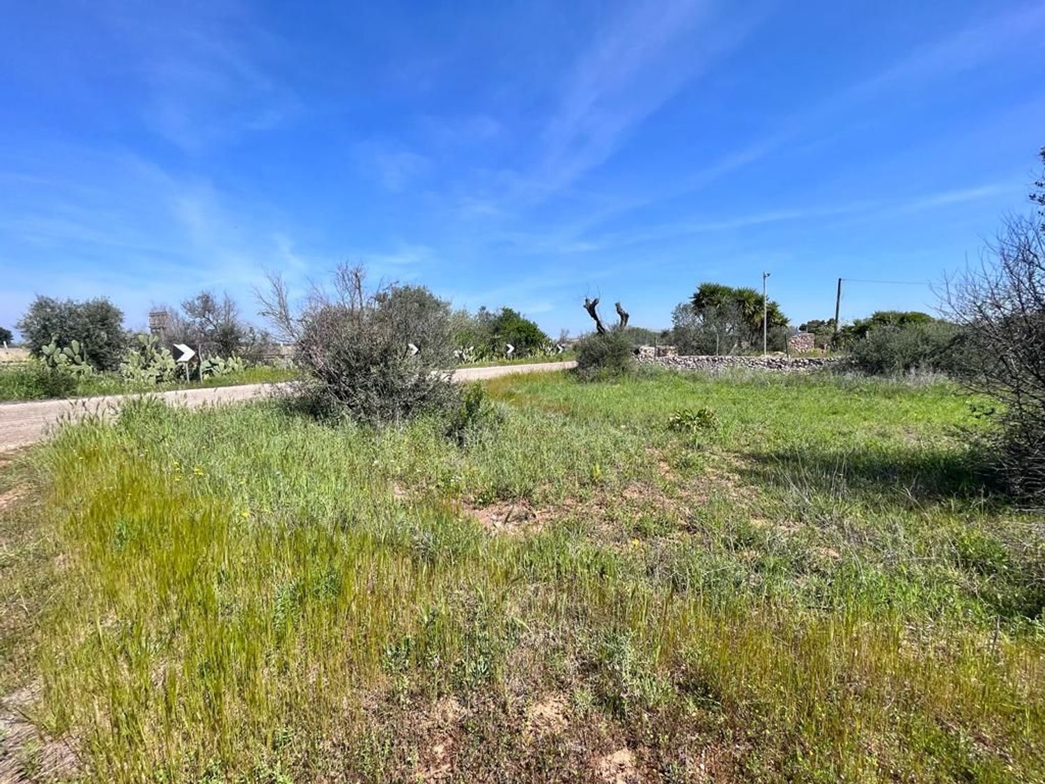 Terreno Residenziale in vendita a Sannicola