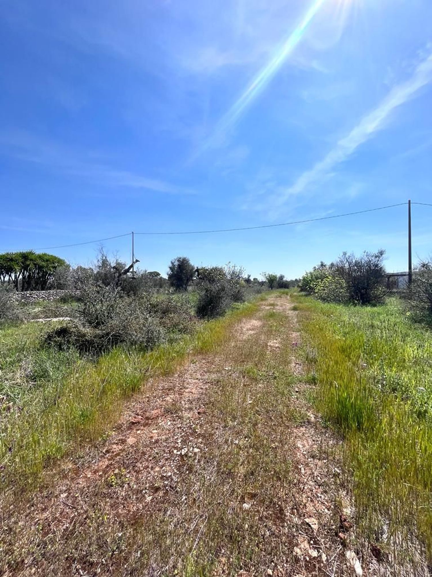 Terreno Residenziale in vendita a Sannicola