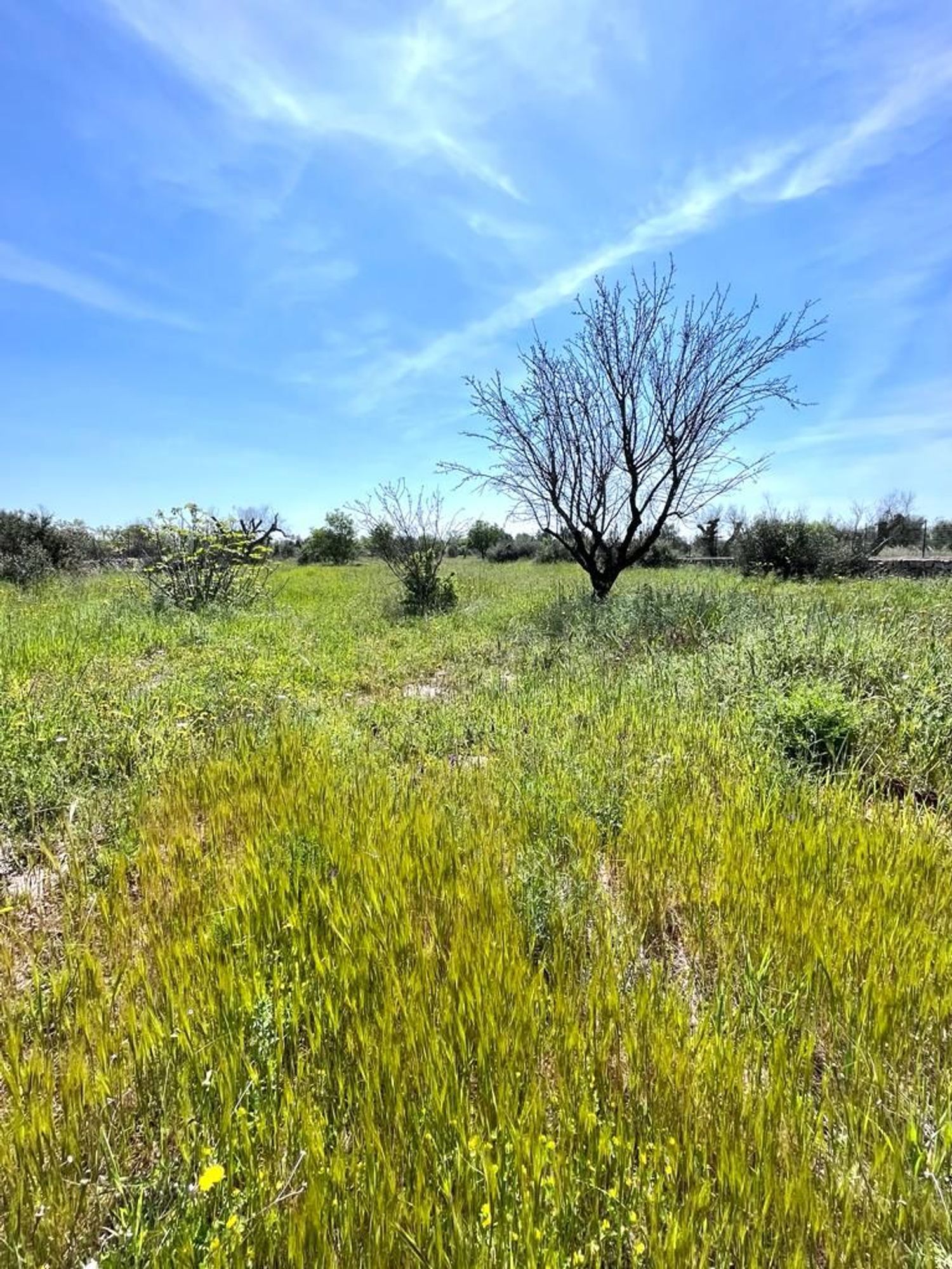 Terreno Residenziale in vendita a Sannicola