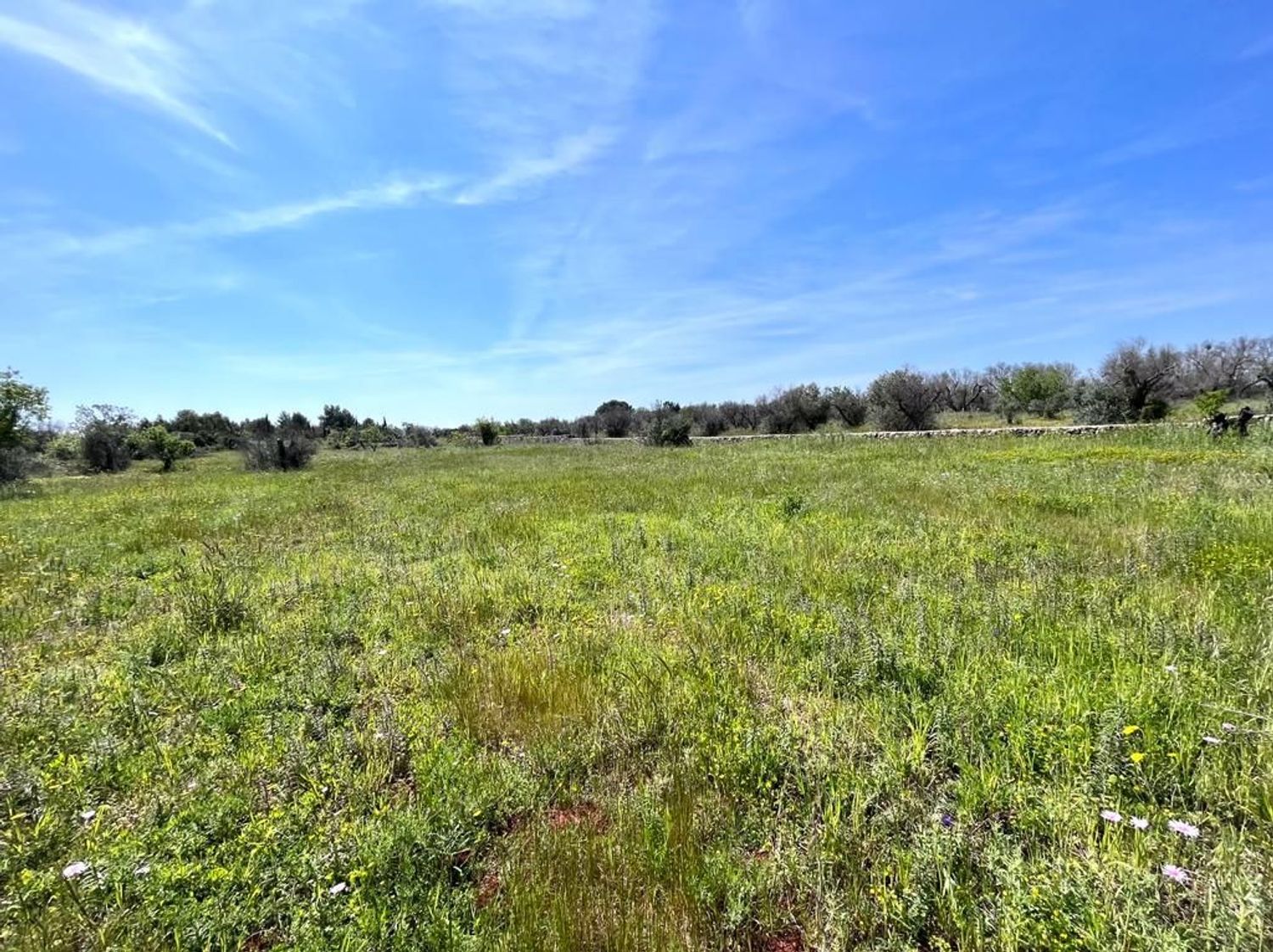 Terreno Residenziale in vendita a Sannicola