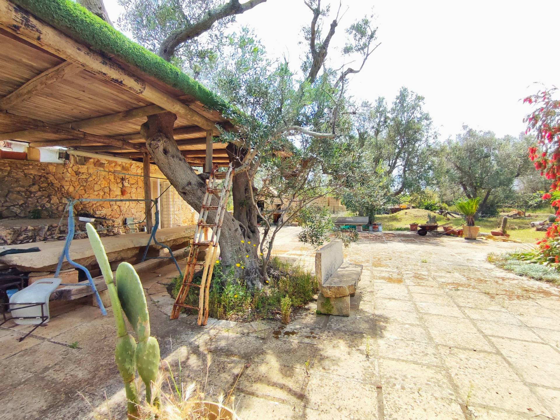 Casa singola in vendita a Sannicola