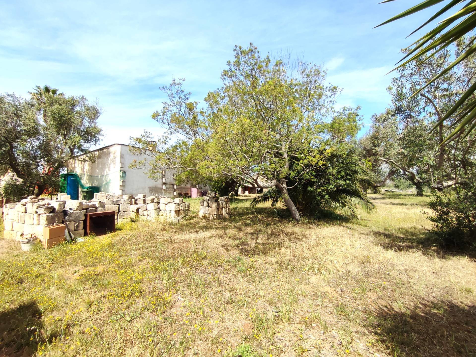 Casa singola in vendita a Sannicola