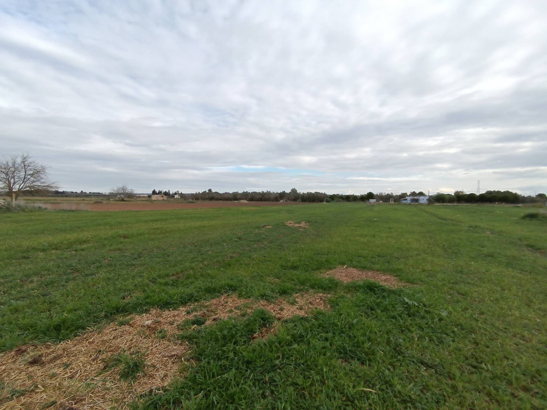 Terreno Agricolo in vendita a Alezio