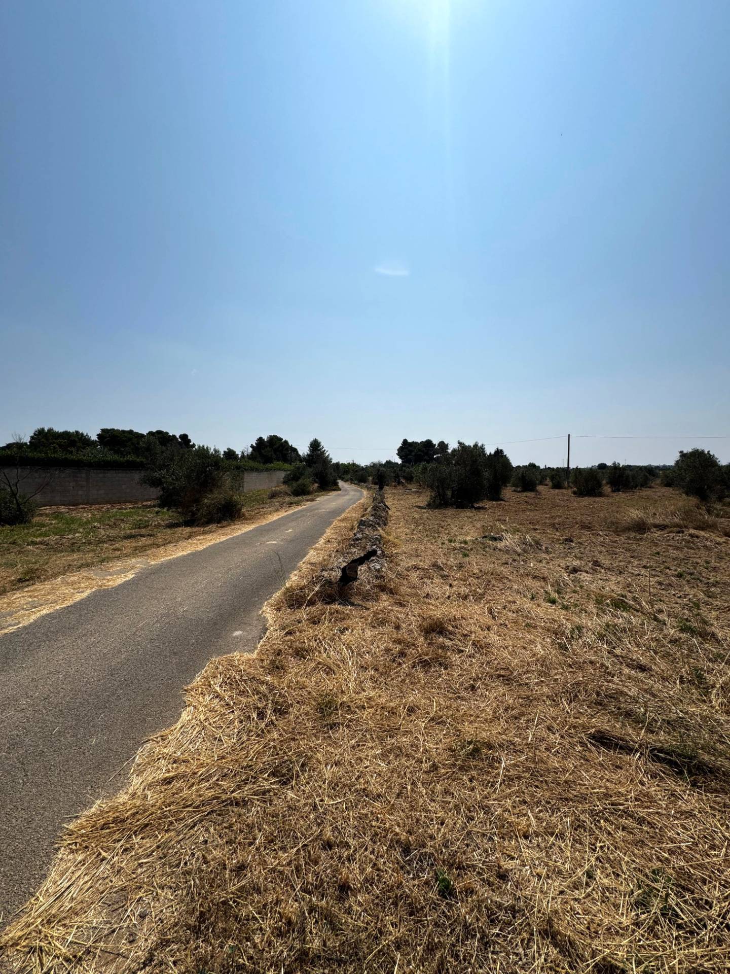 Terreno Agricolo in vendita a Sannicola