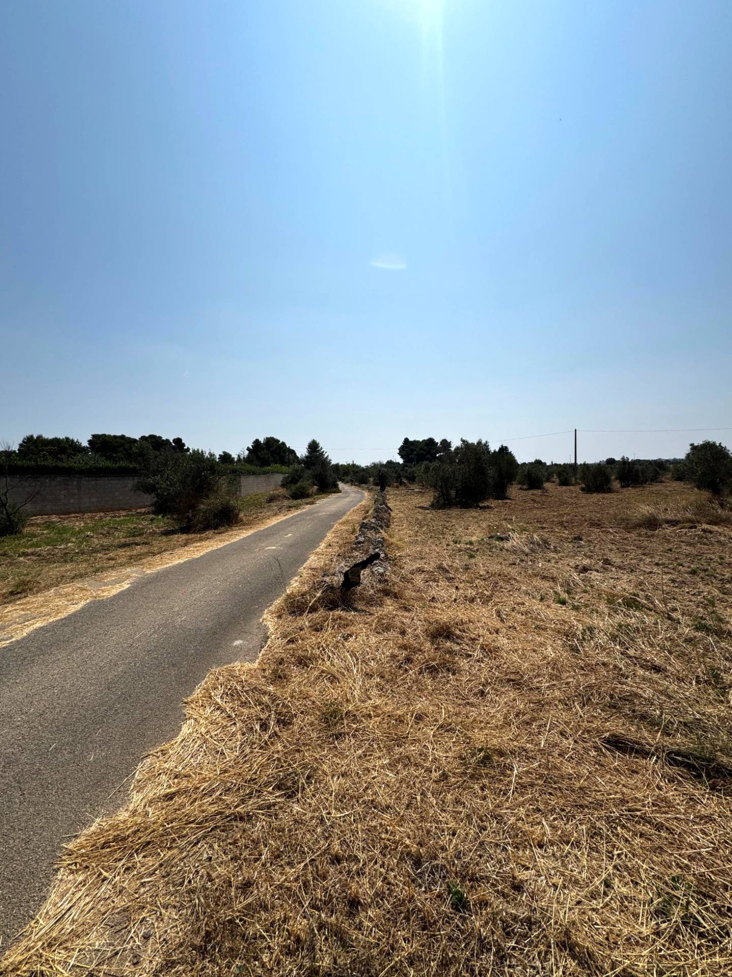 Terreno Agricolo in vendita a Sannicola