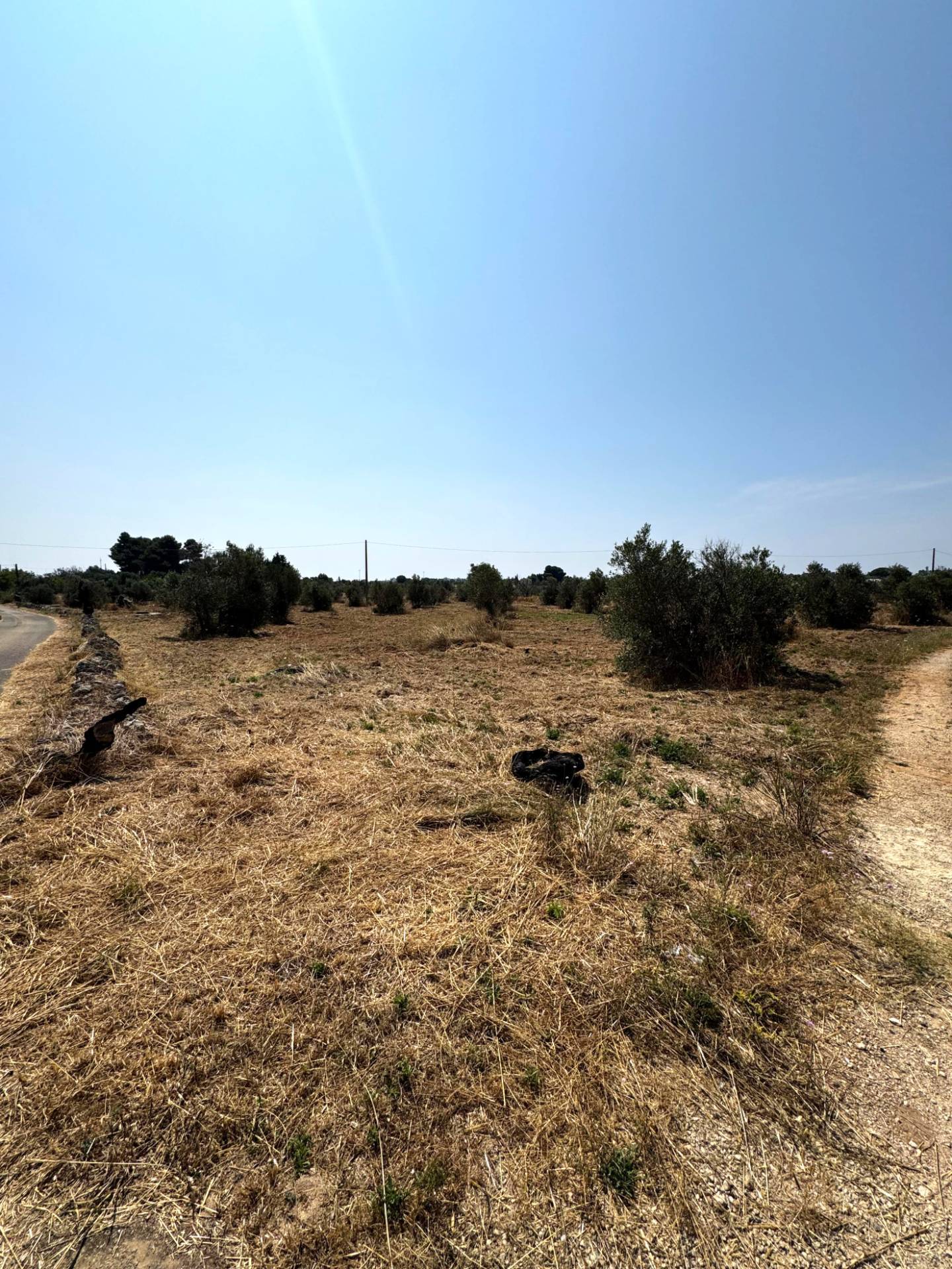 Terreno Agricolo in vendita a Sannicola