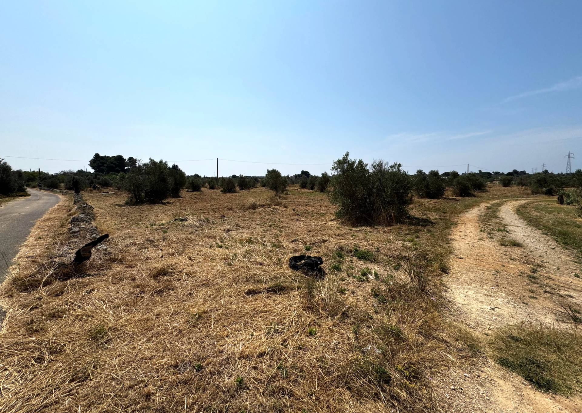 Terreno Agricolo in vendita a Sannicola