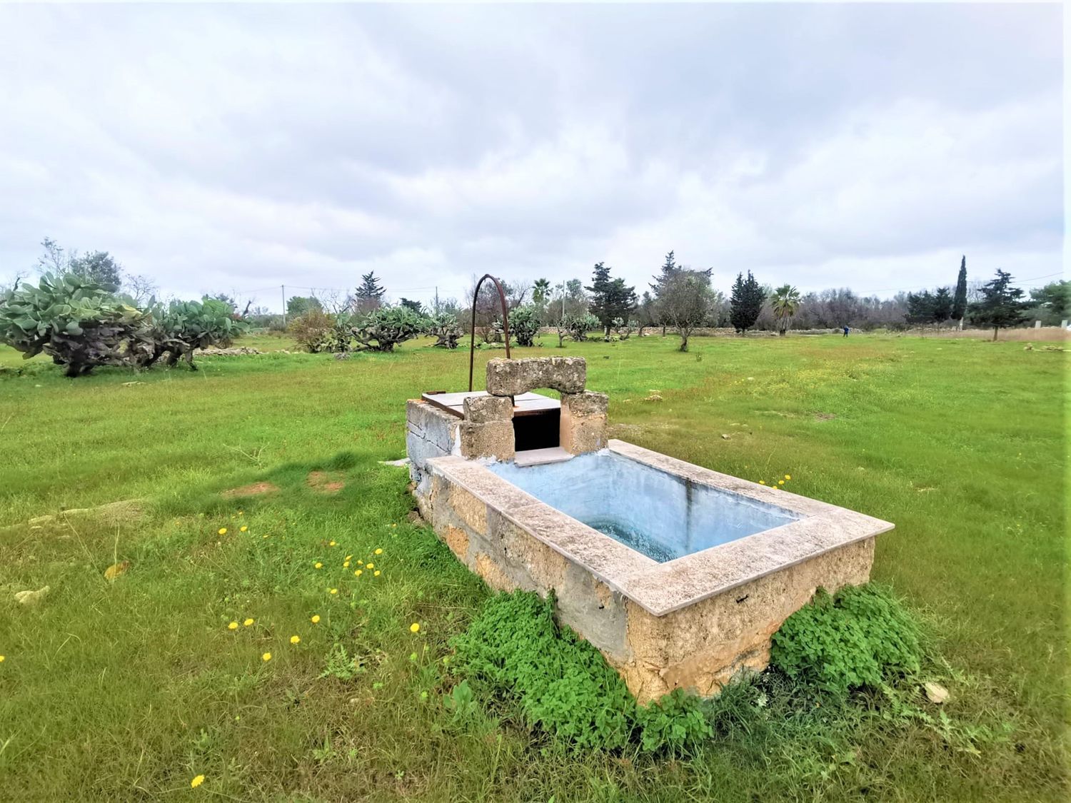 Terreno Residenziale in vendita a Gallipoli