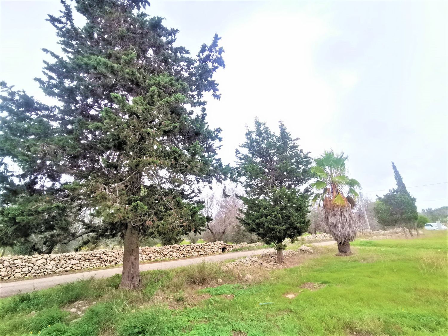 Terreno Residenziale in vendita a Gallipoli