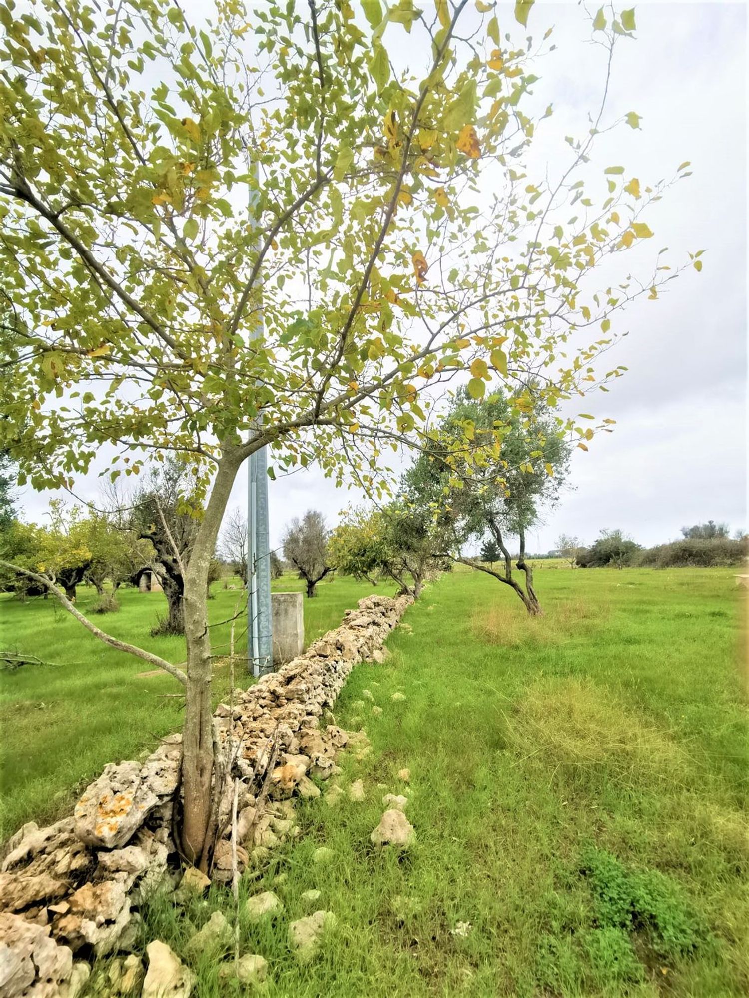 Terreno Residenziale in vendita a Gallipoli