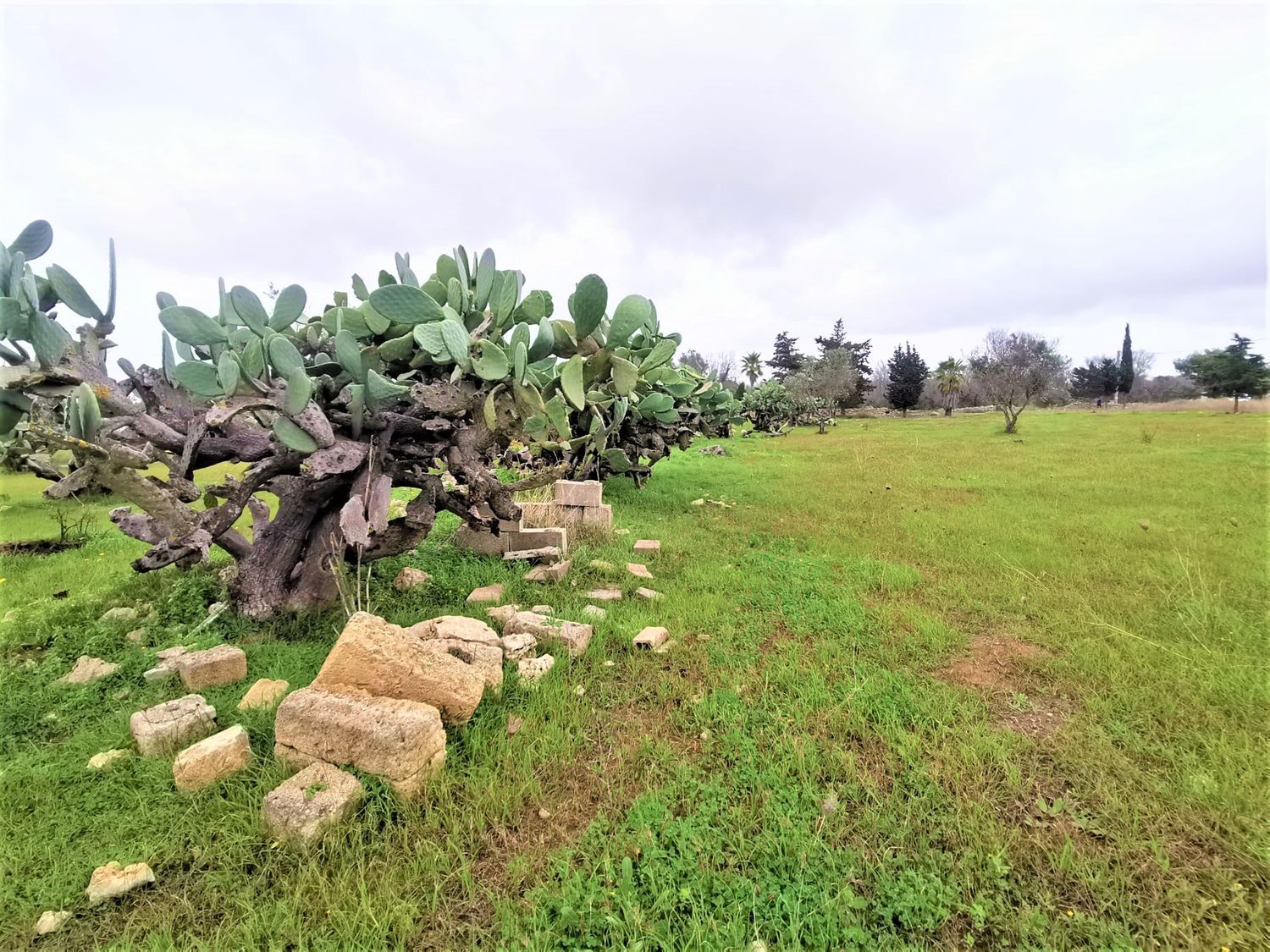 Terreno Residenziale in vendita a Gallipoli