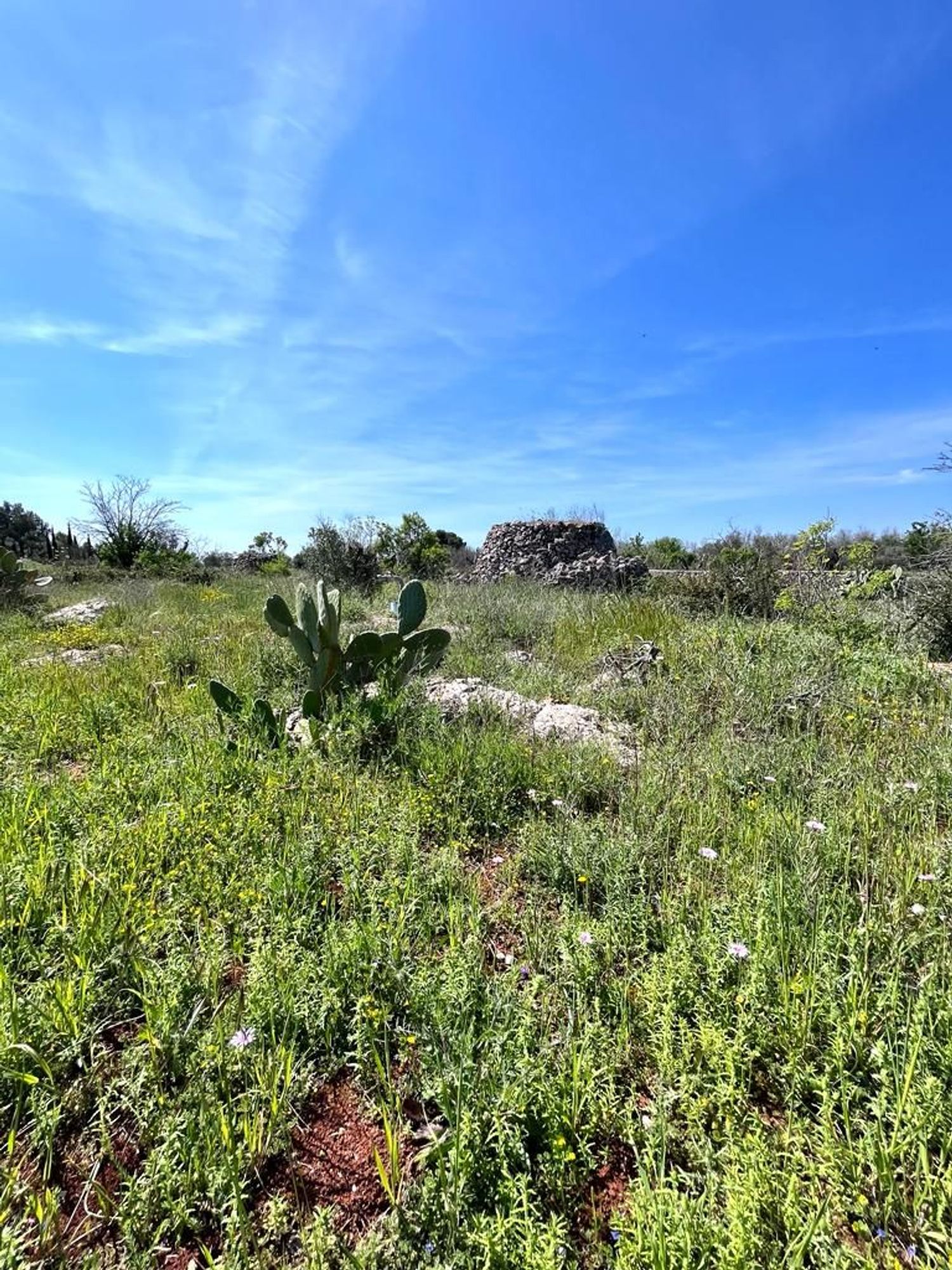 Terreno Residenziale in vendita a Sannicola