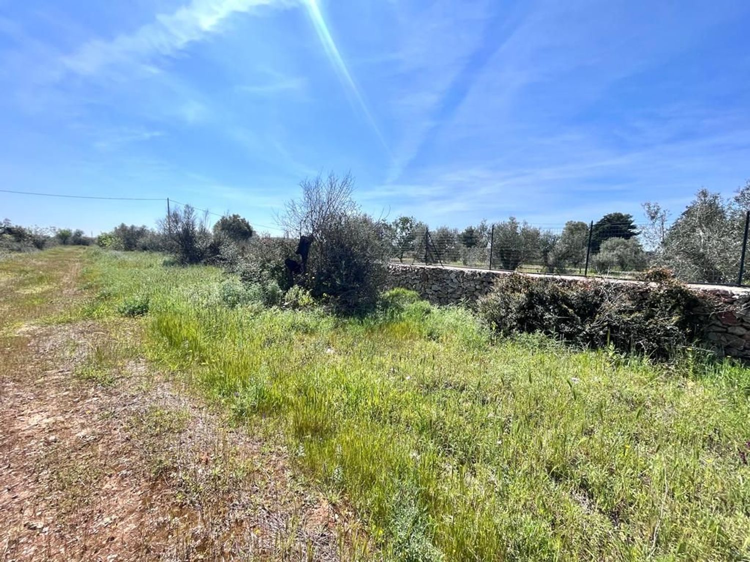 Terreno Residenziale in vendita a Sannicola