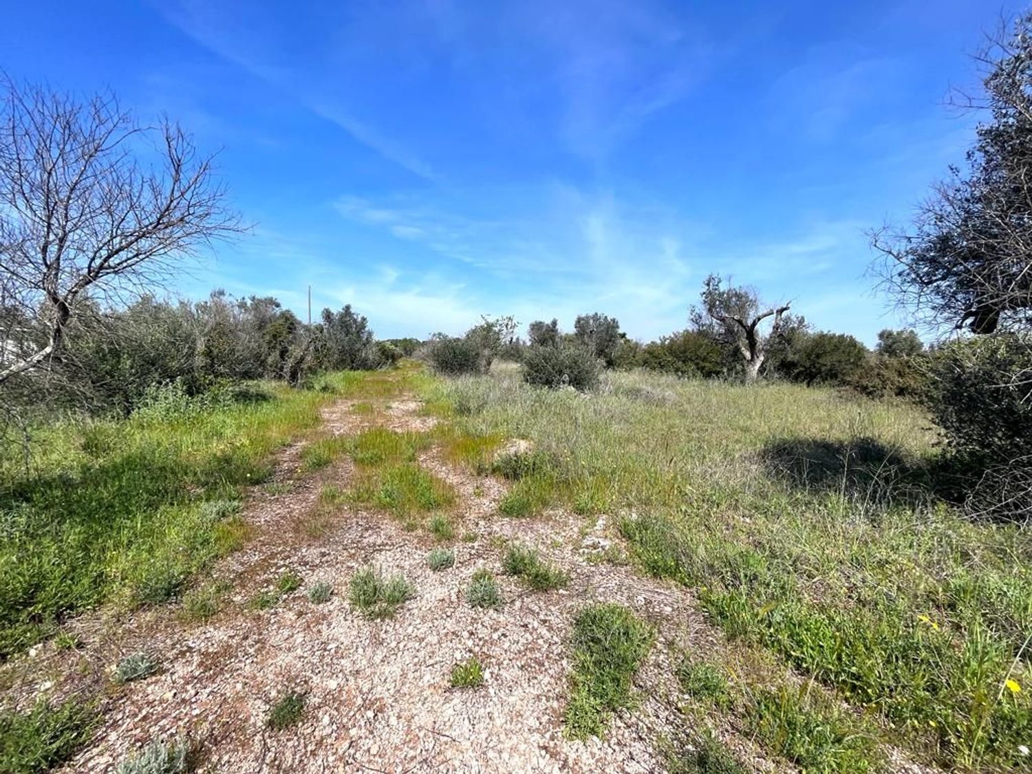 Terreno Residenziale in vendita a Sannicola