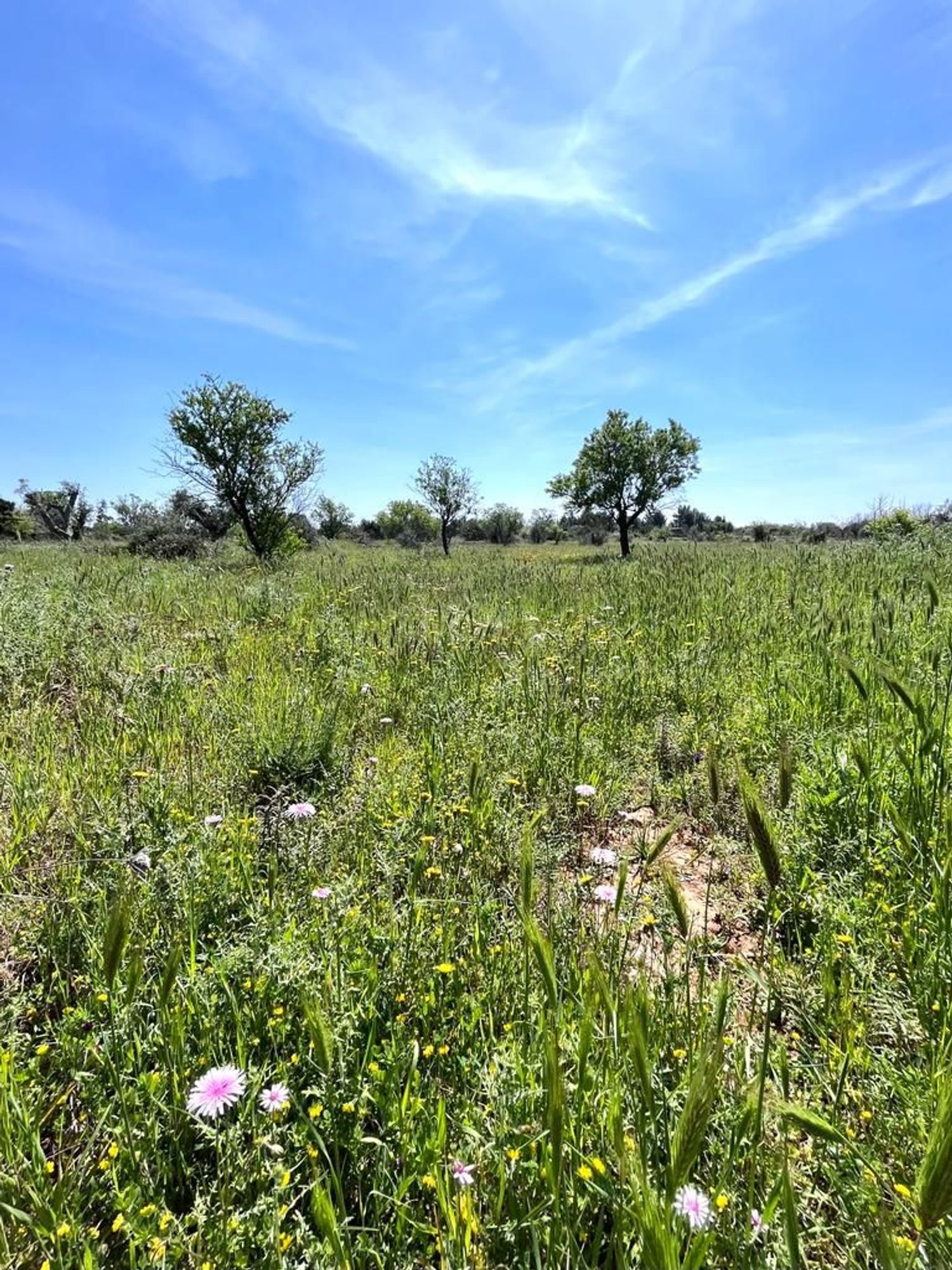 Terreno Residenziale in vendita a Sannicola