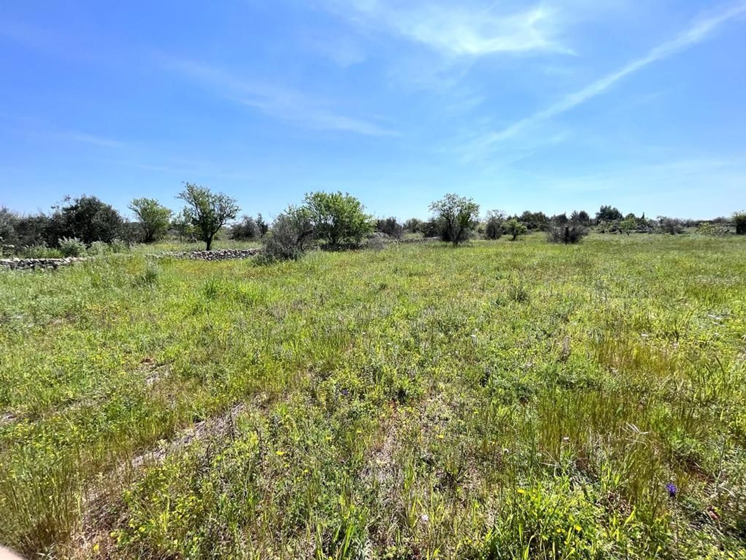 Terreno Residenziale in vendita a Sannicola