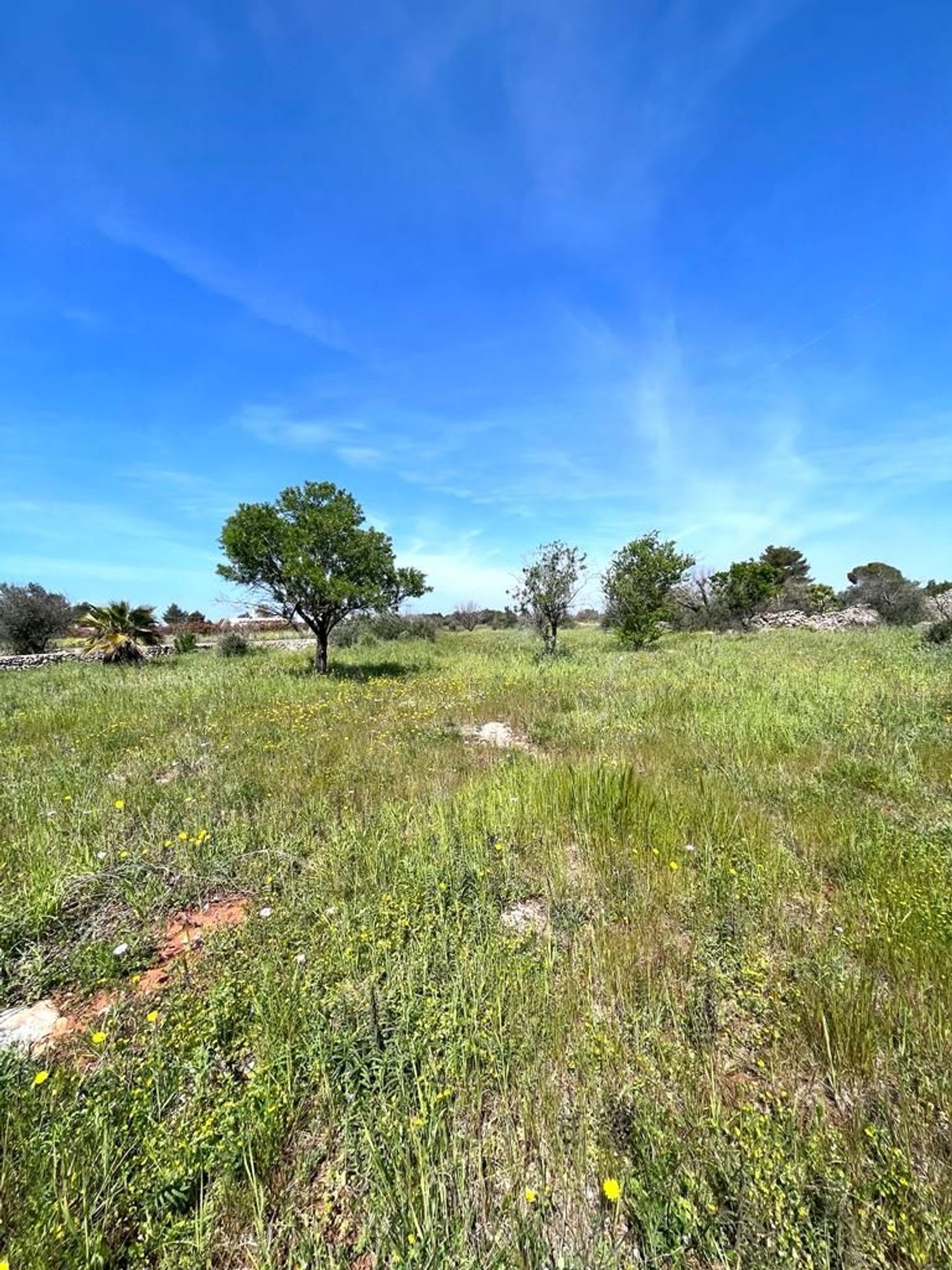 Terreno Residenziale in vendita a Sannicola