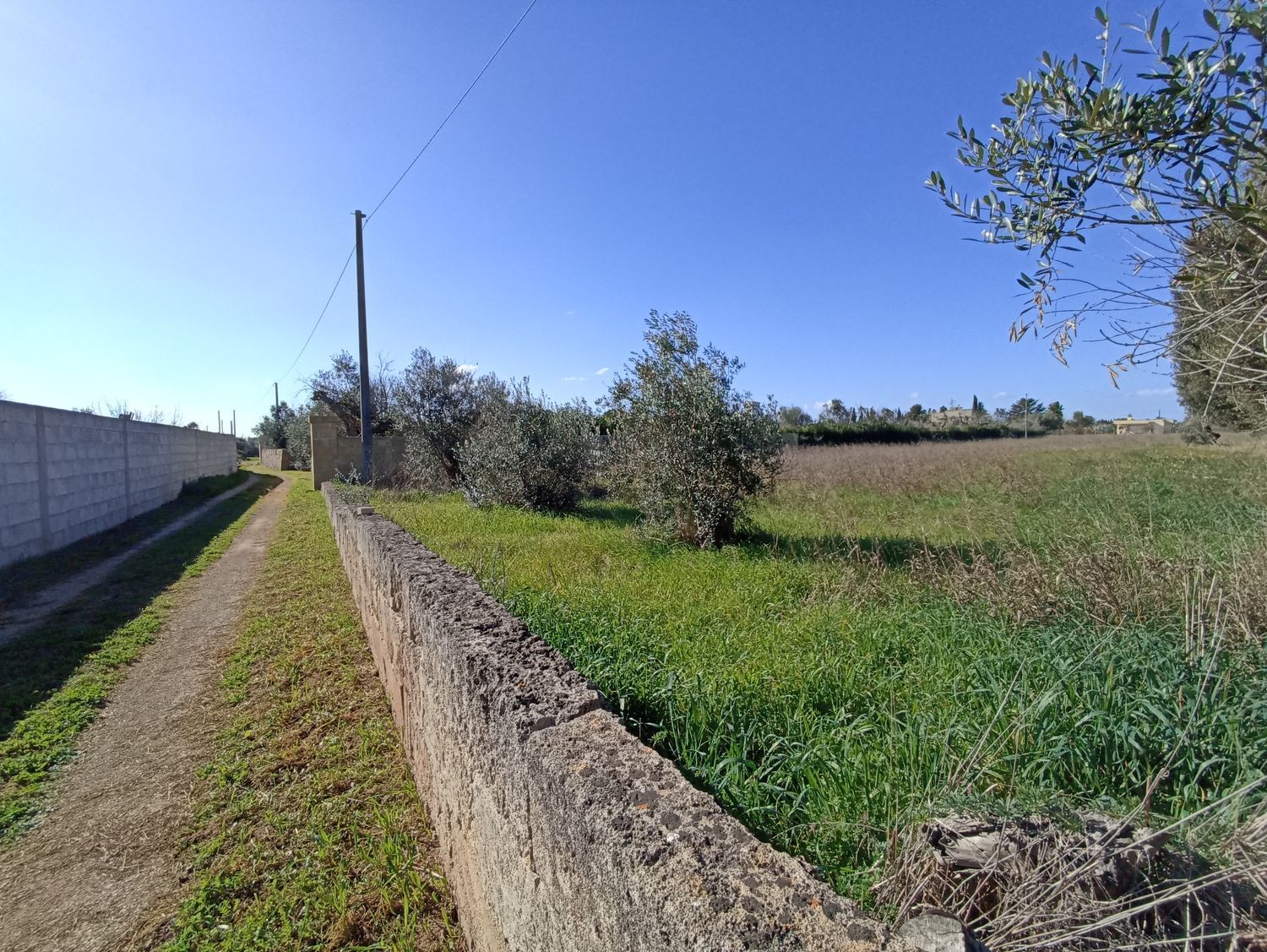 immagine annuncio 8 di 10