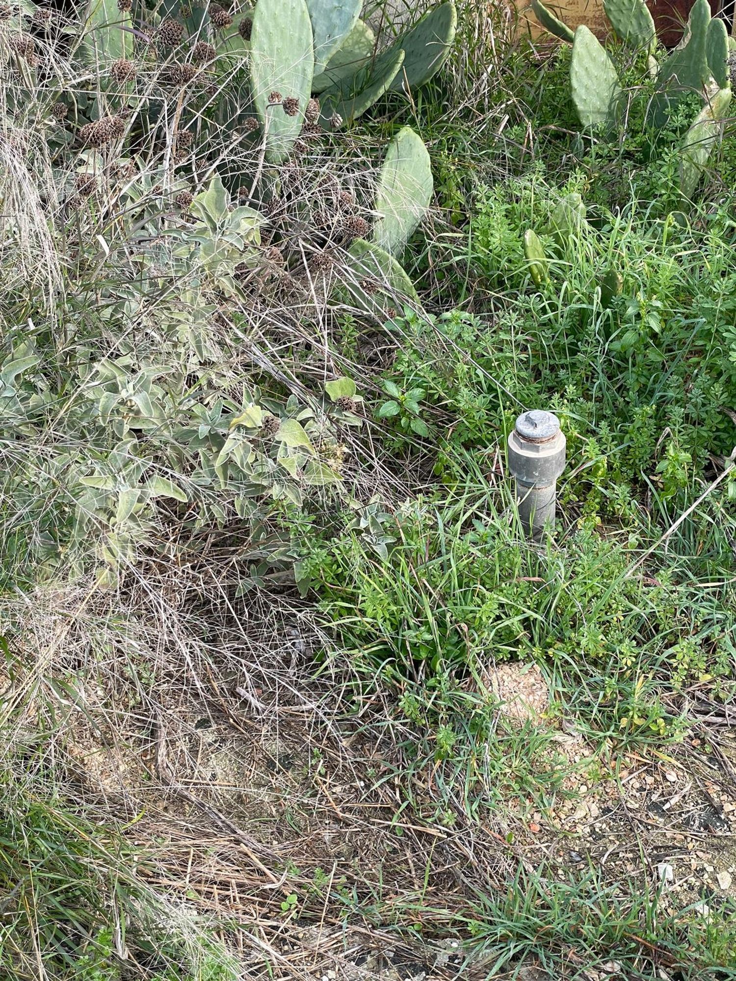 Terreno Residenziale in vendita a Sannicola