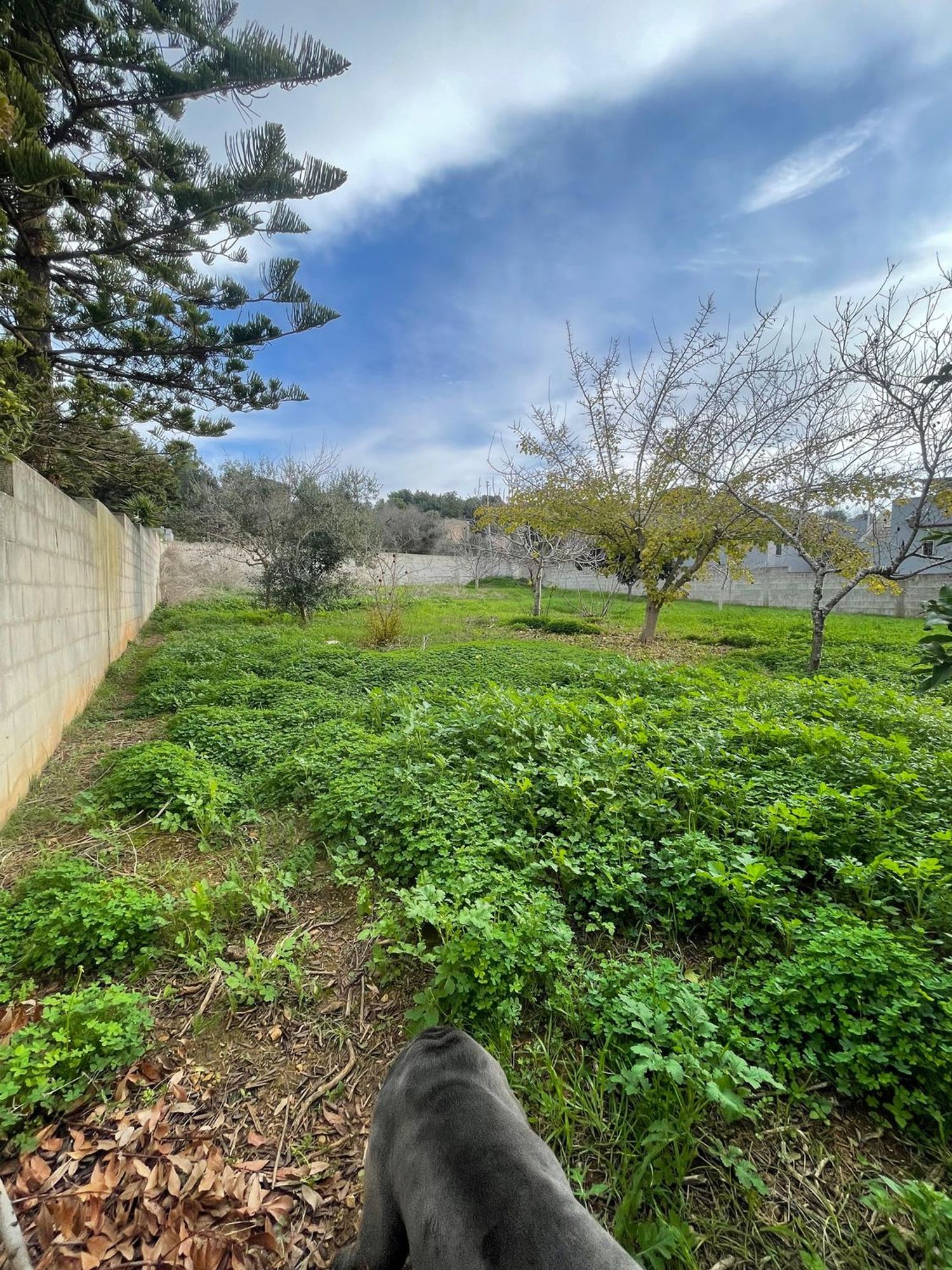 Terreno Residenziale in vendita a Sannicola