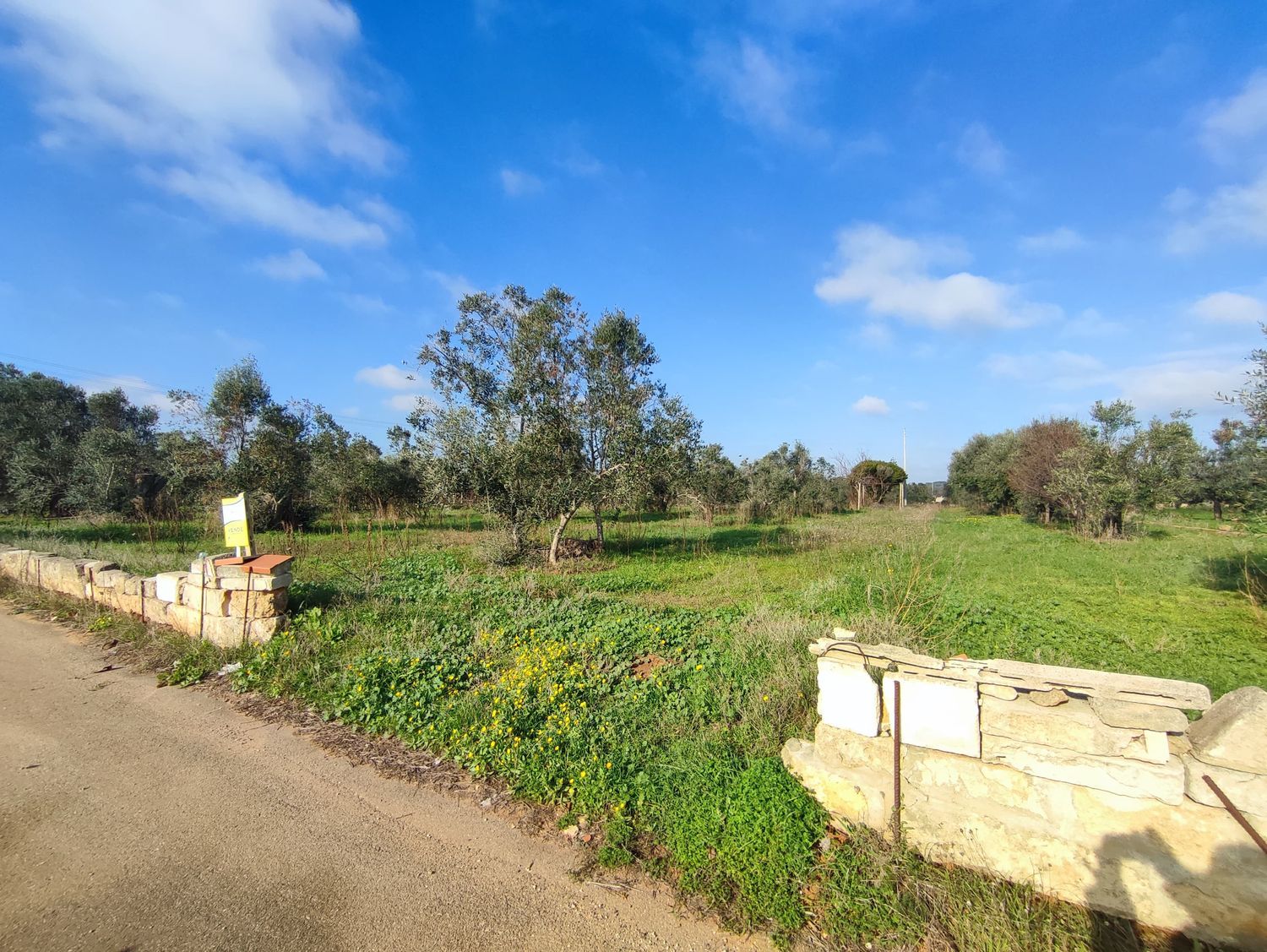 Terreno Agricolo in vendita a Tuglie