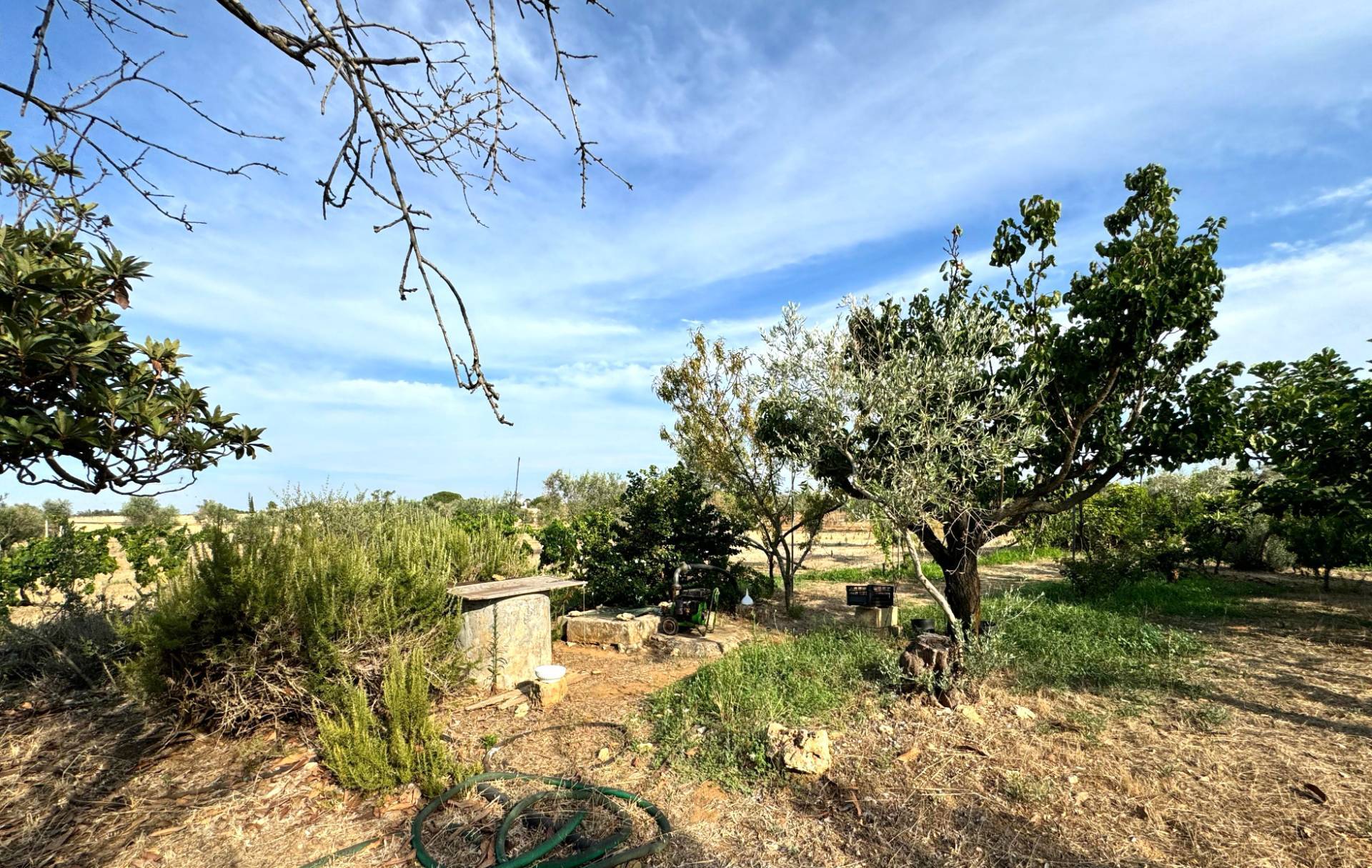 Terreno Agricolo in vendita a Gallipoli