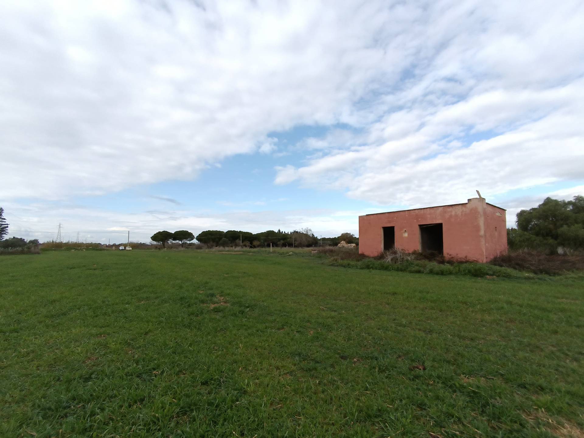 Terreno Agricolo in vendita a Alezio