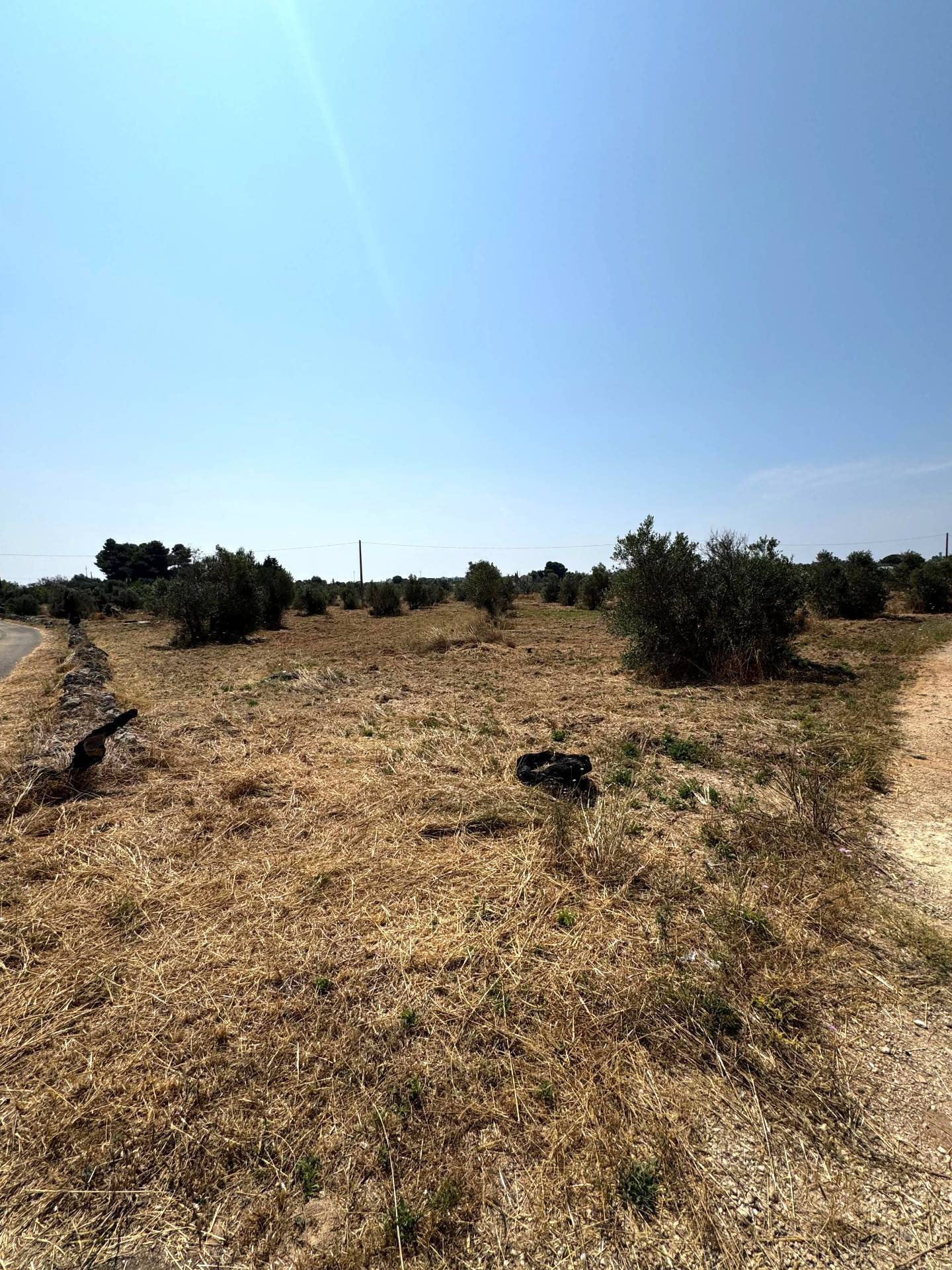 Terreno Agricolo in vendita a Sannicola