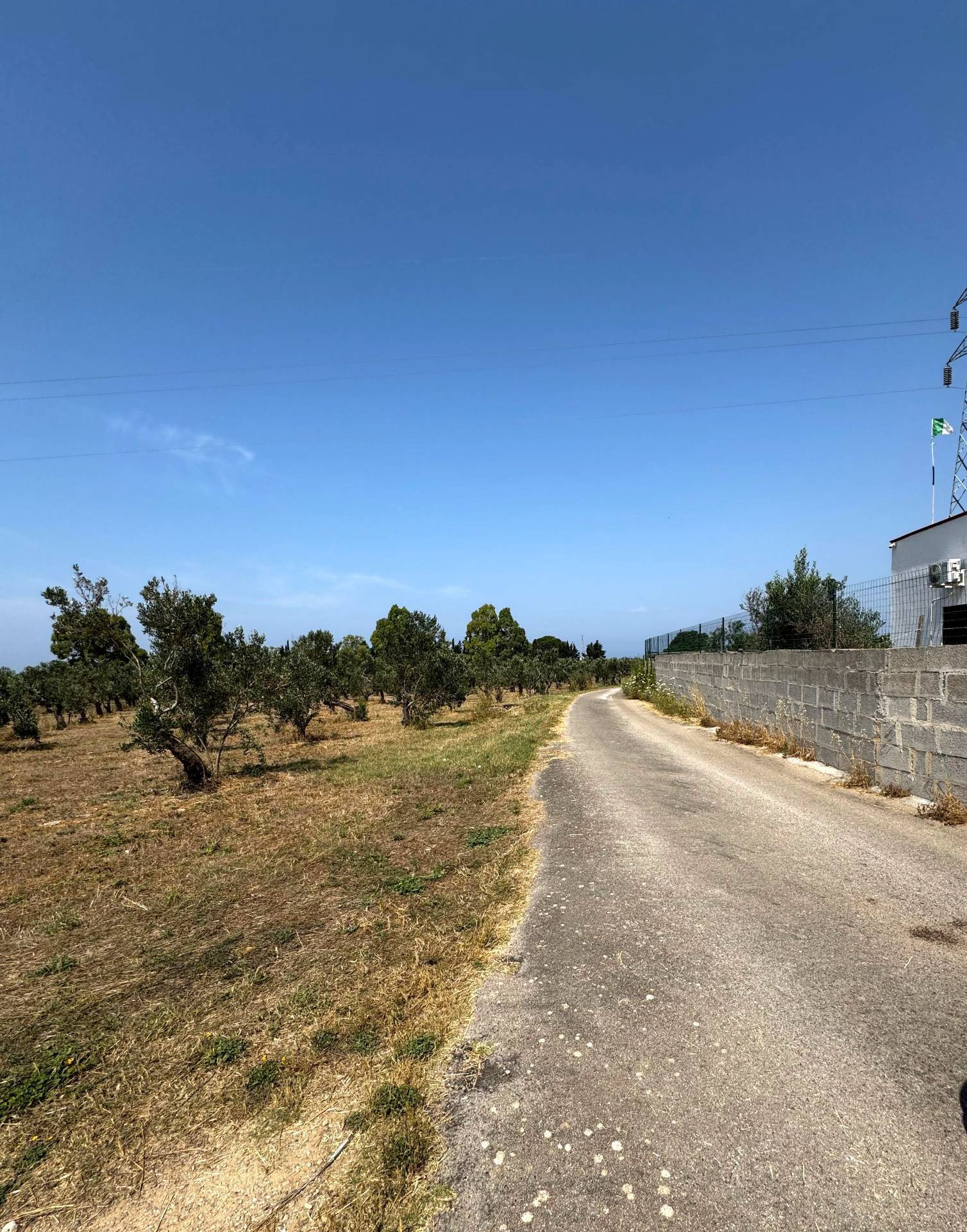 Terreno Agricolo in vendita a Sannicola